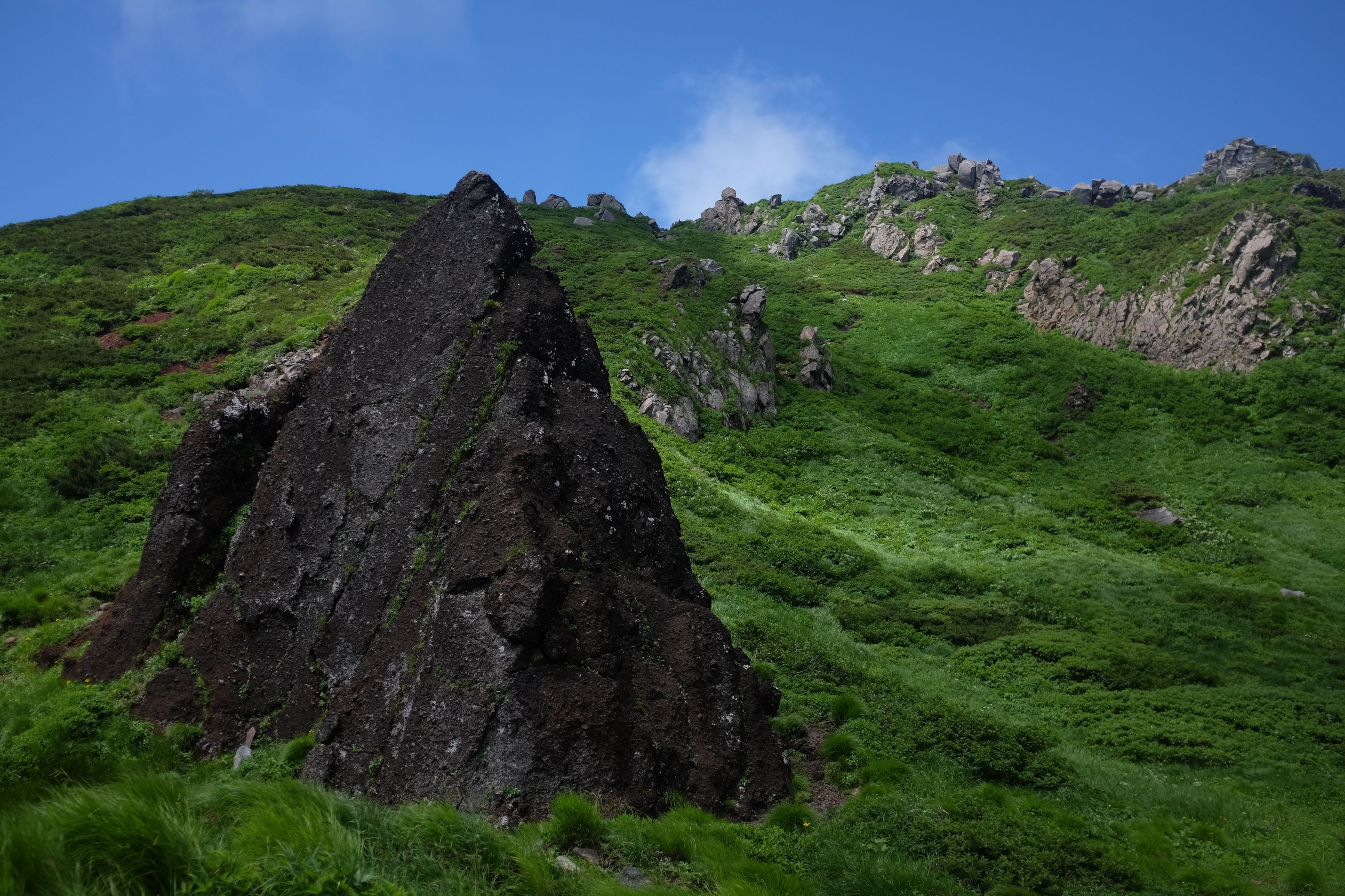 A large, triangular, black rock stands in a green meadow.