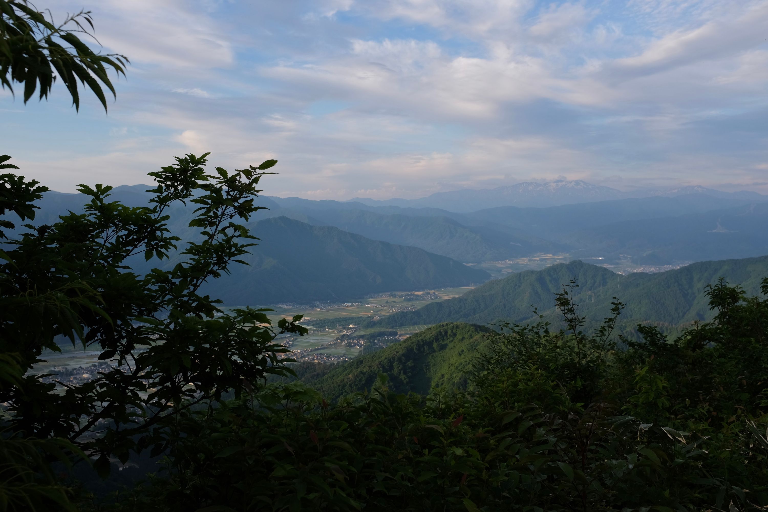View of distant snow peak, Hakusan, from a densely forested hilltop.