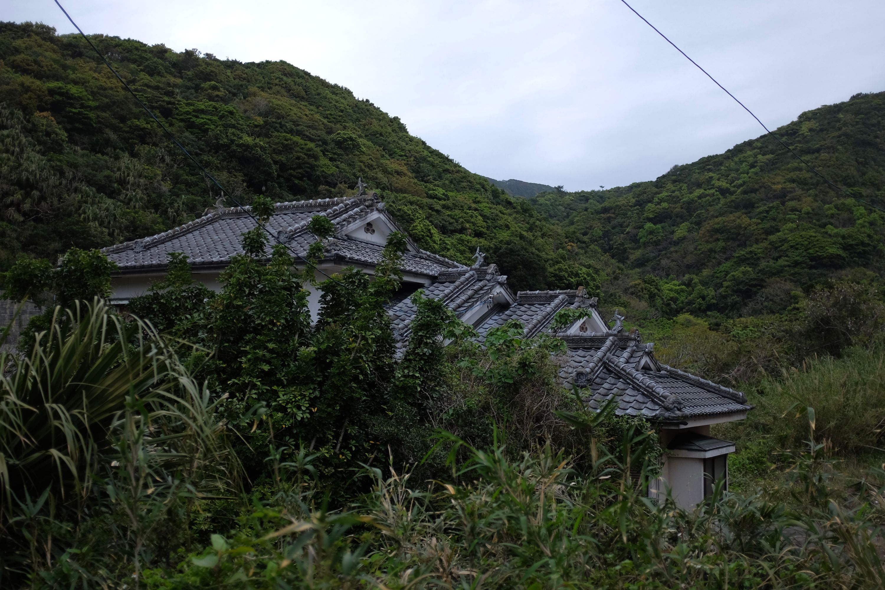 Abandoned house in the jungle in Satamagome, Kagoshima. Photo: Peter Orosz