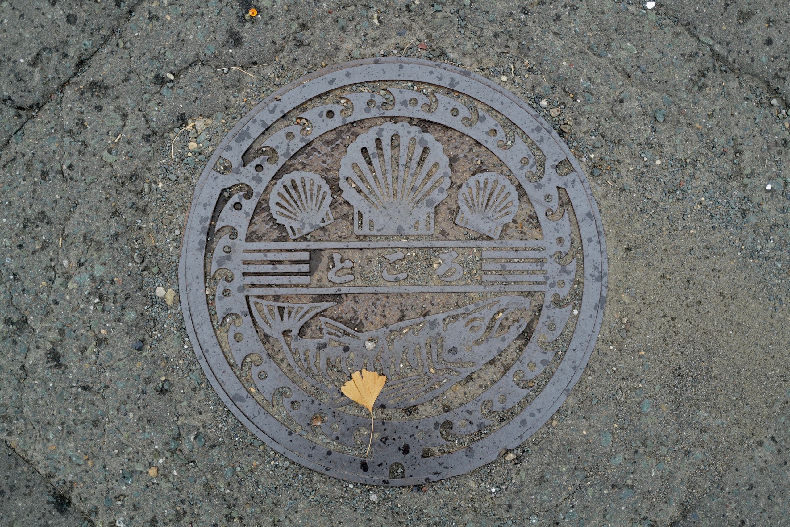 A manhole cover shows scallops and a salmon, and there’s a single yellow ginkgo leaf on it