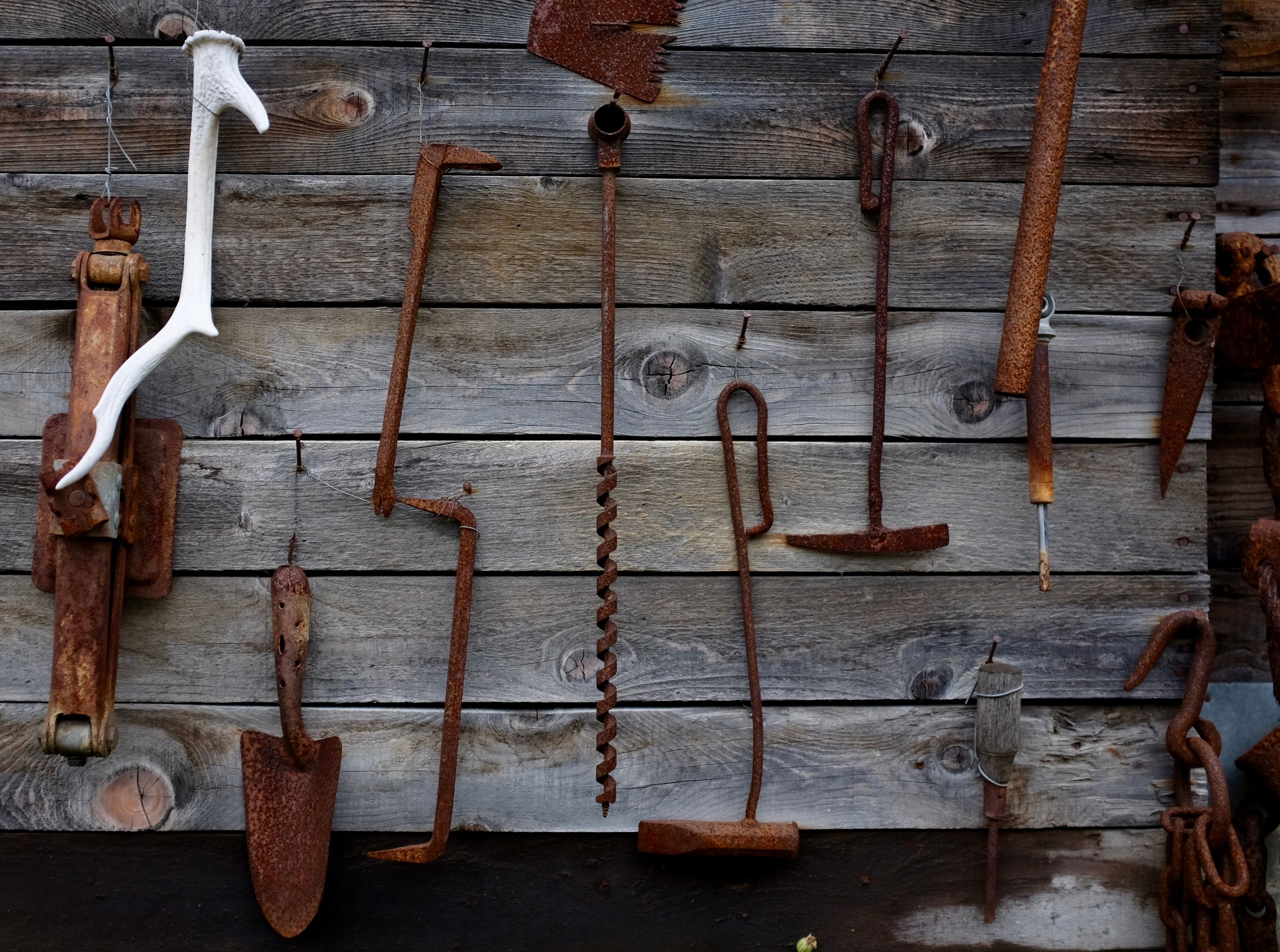Rusty tools and a single antler hang from a weather-beaten clapboard wall.