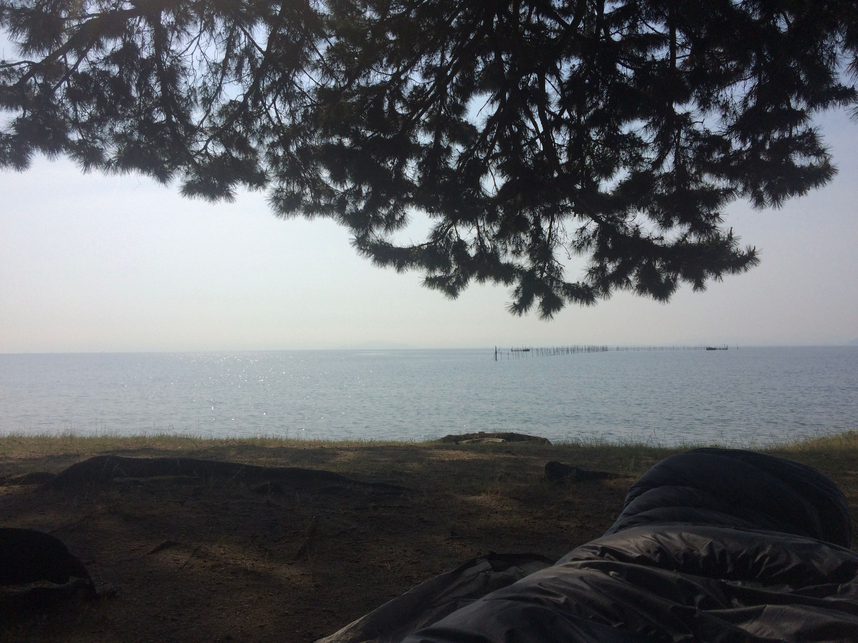 The branches of a pine tree overhang a view on a lake with the foot of a sleeping bag visible in the lower right corner, implying a photo taken immediately after waking up on a beach.