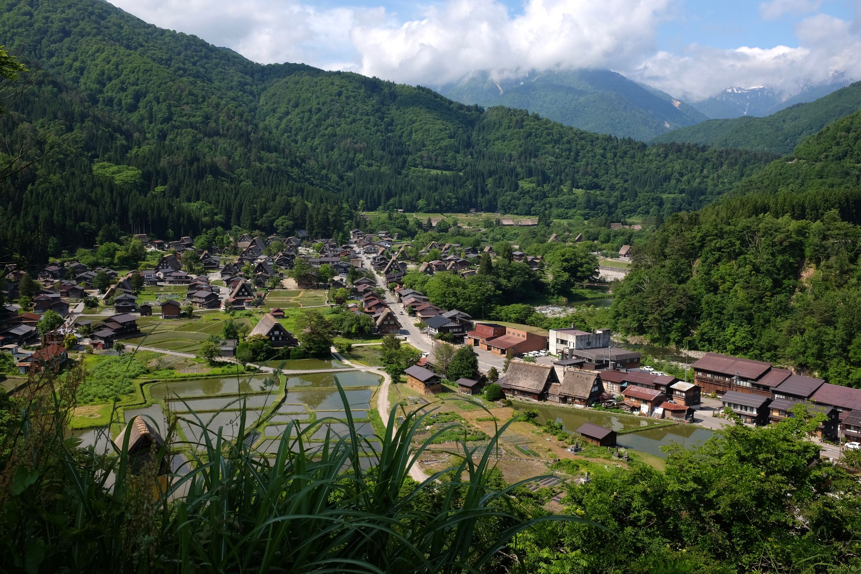 A clear view of the thatch-roofed houses of Ogimachi, with the snow peaks of Hakusan in behind them.