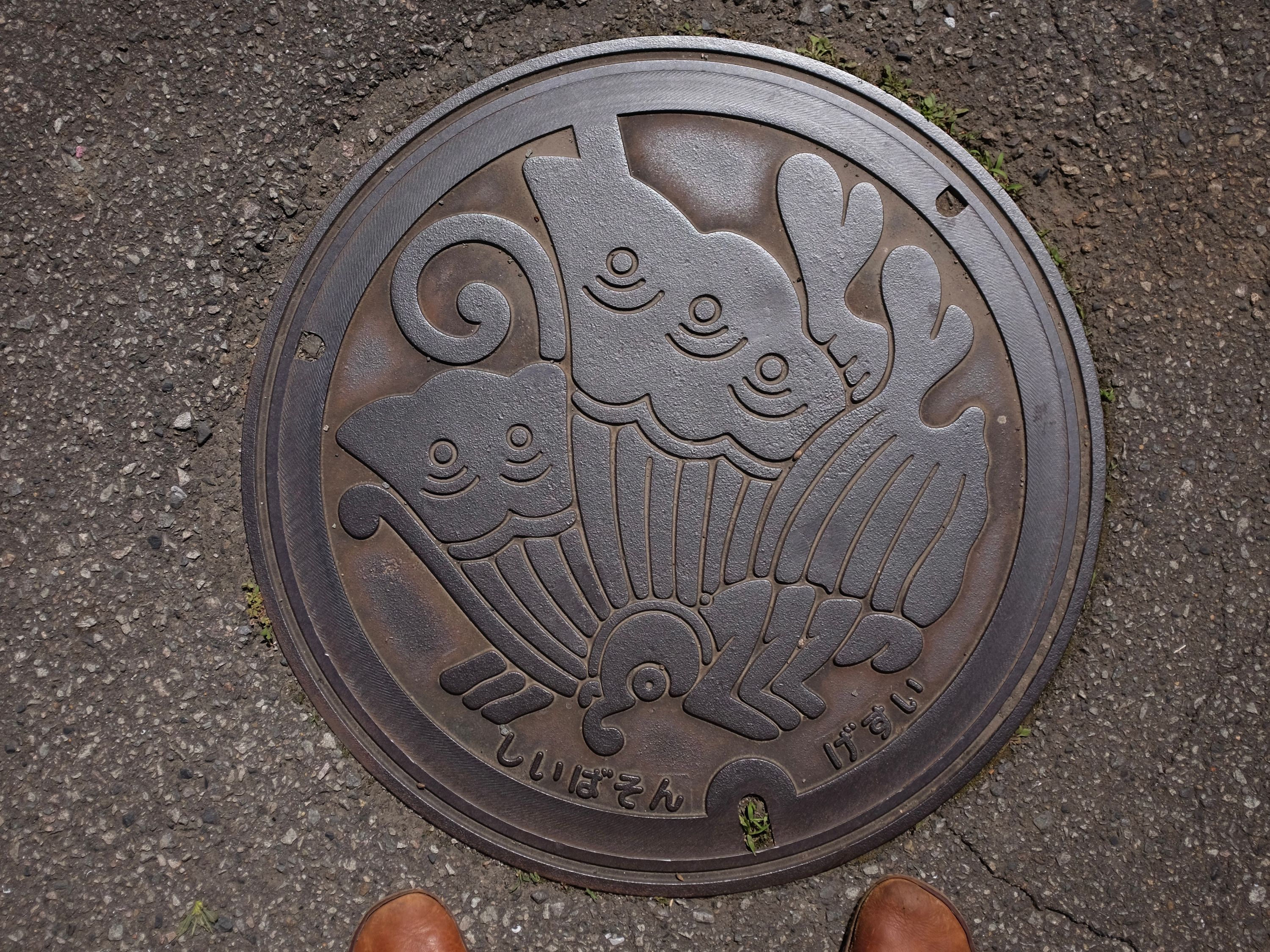 A manhole cover with the crest of the Taira clan, a butterfly, famous from early medieval Japanese history.