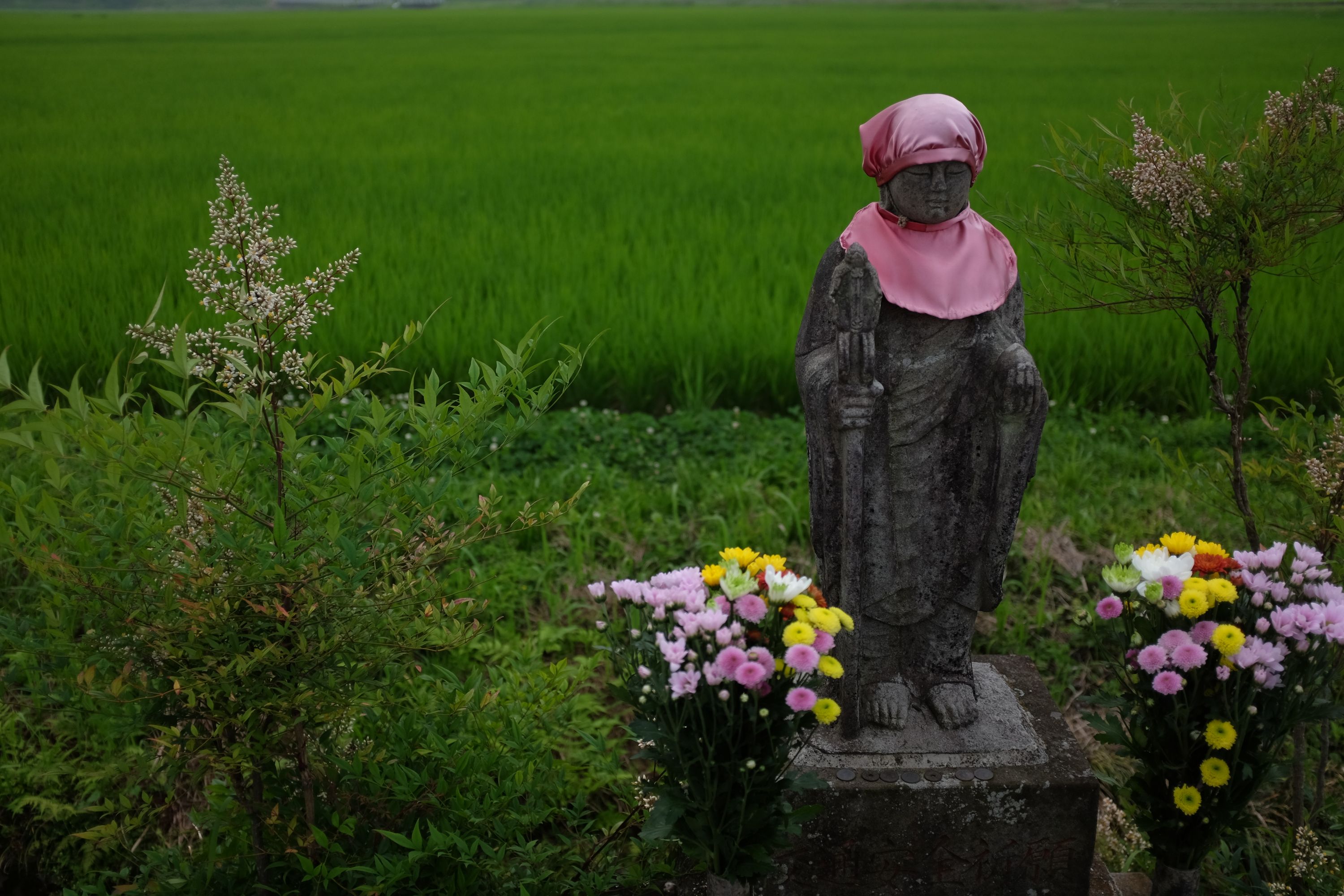 A statue of a guardian wearing a cape and a hat stands in front of a brilliant green rice field.