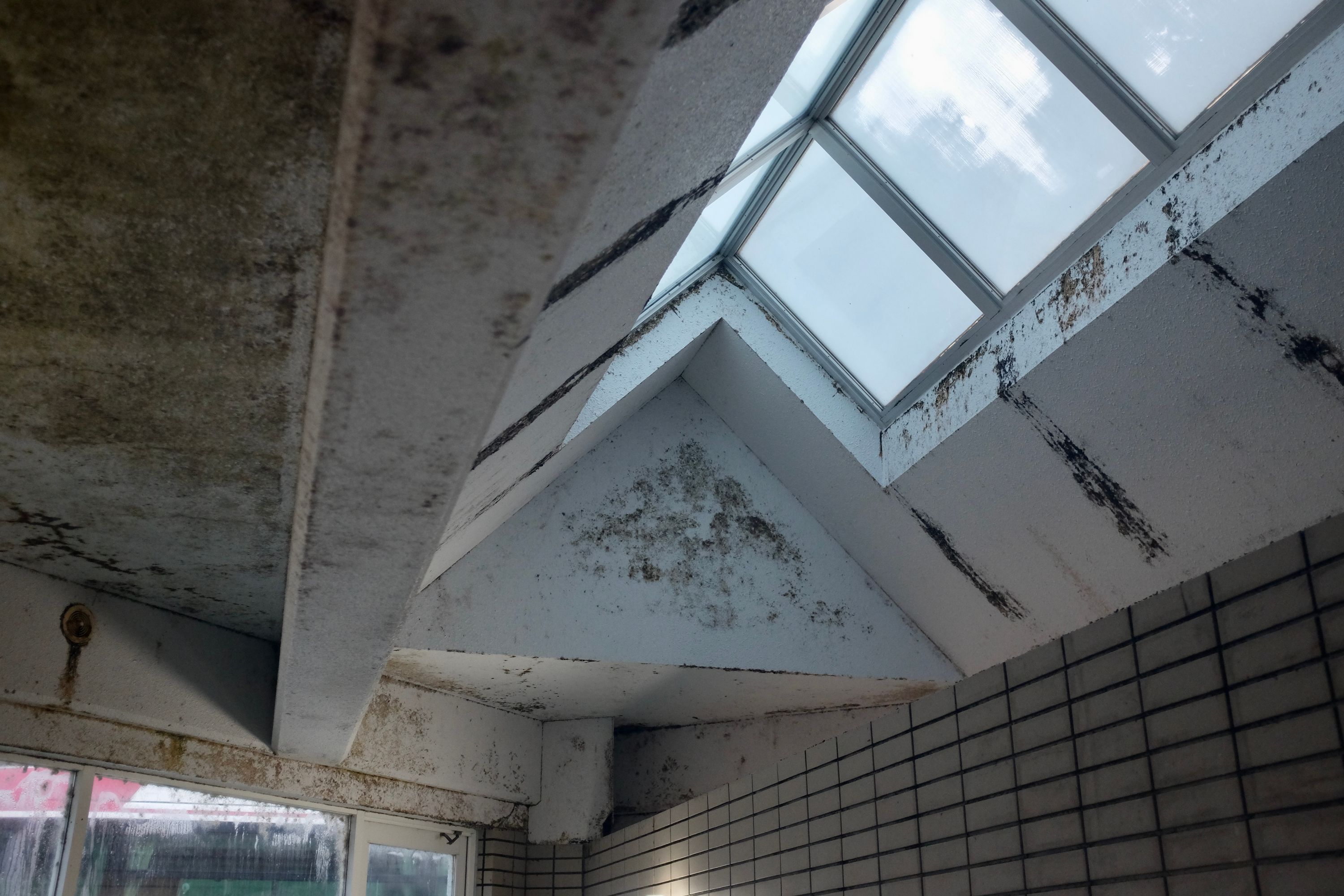 The very moldy ceiling of an angular, 1980s-looking bathhouse.