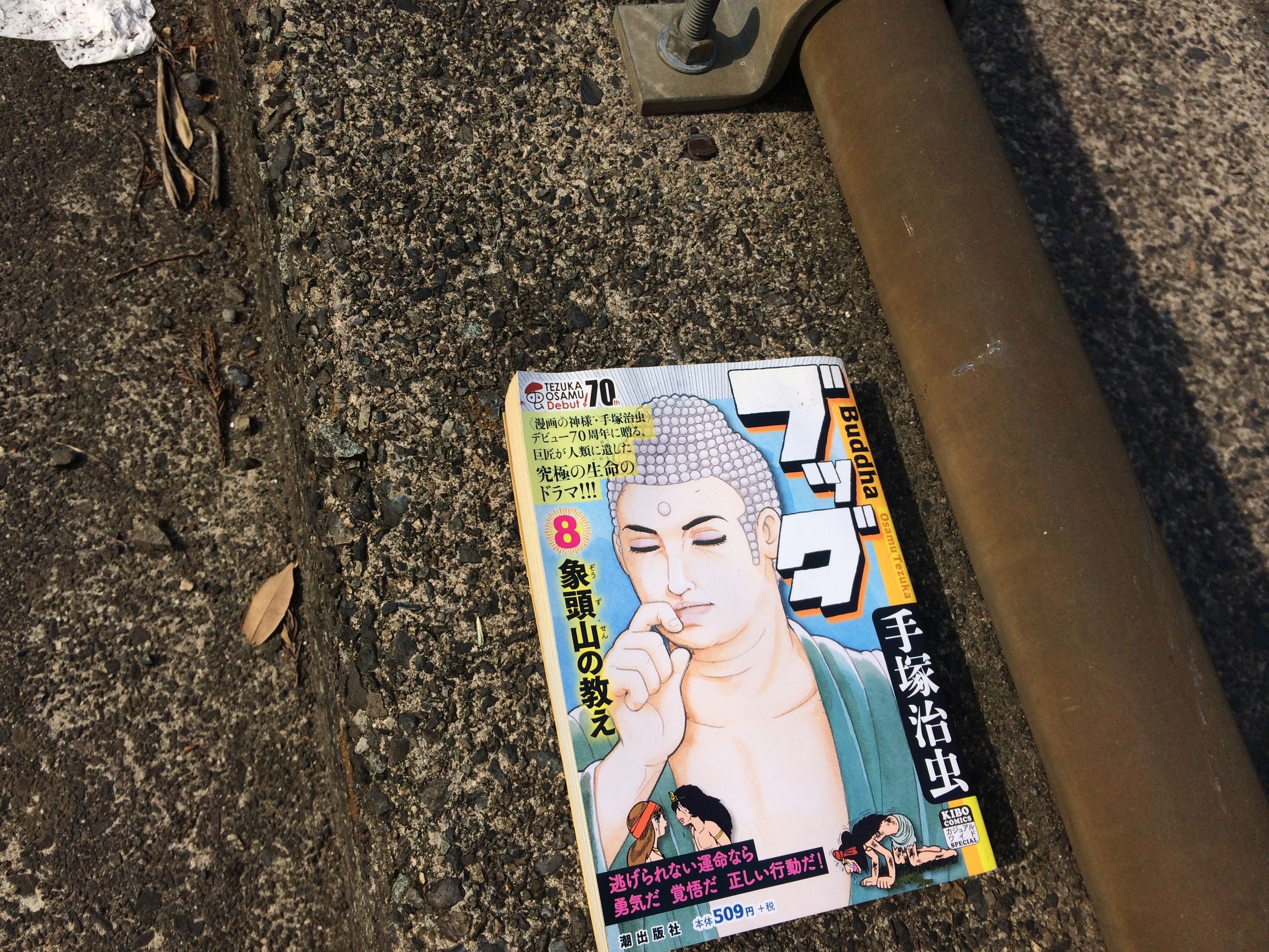 An issue of a manga comic lies on the ground, it is about a contemporary representation of the Buddha.