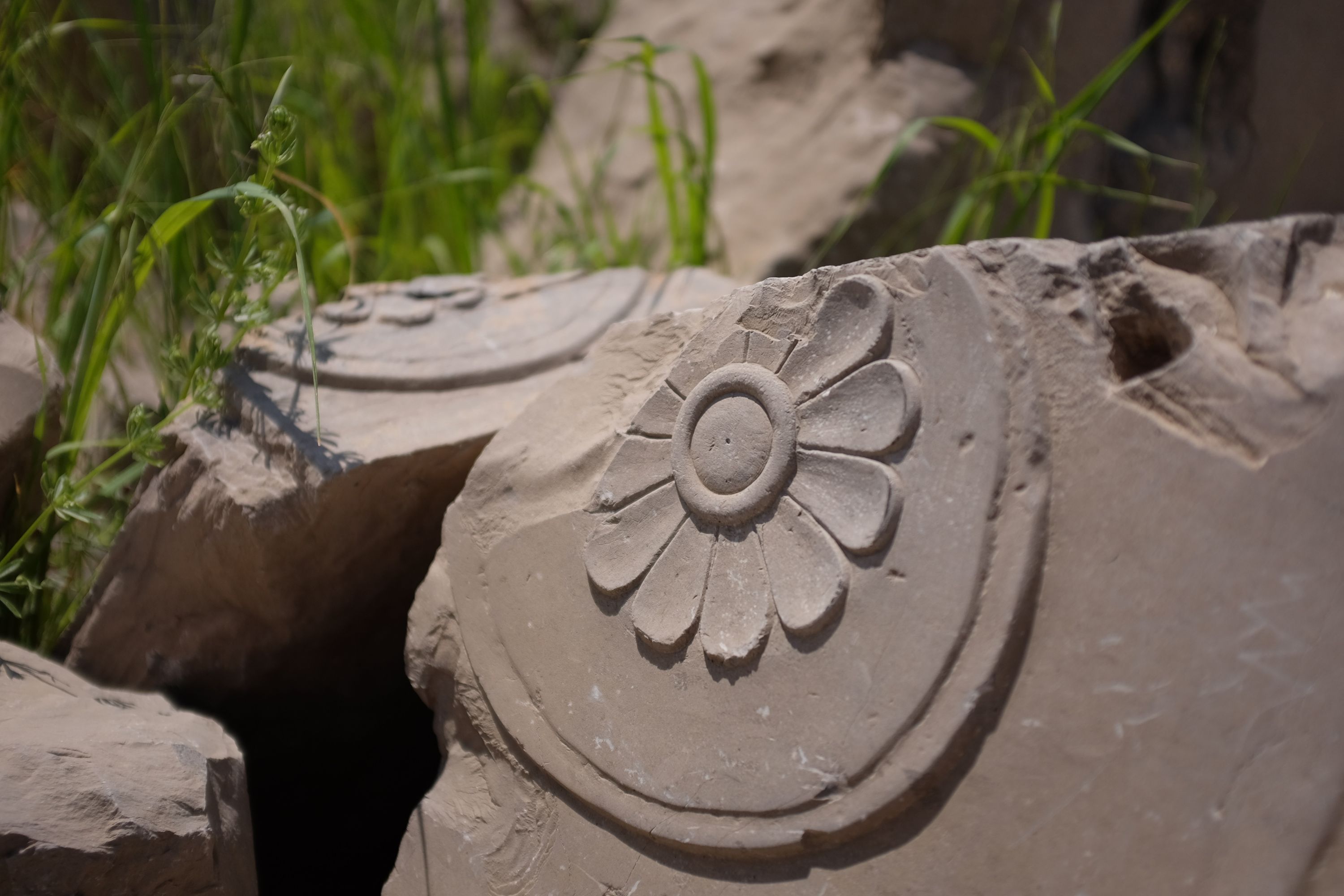 A symmetrical flower carved in a broken stone which lies in the grass.