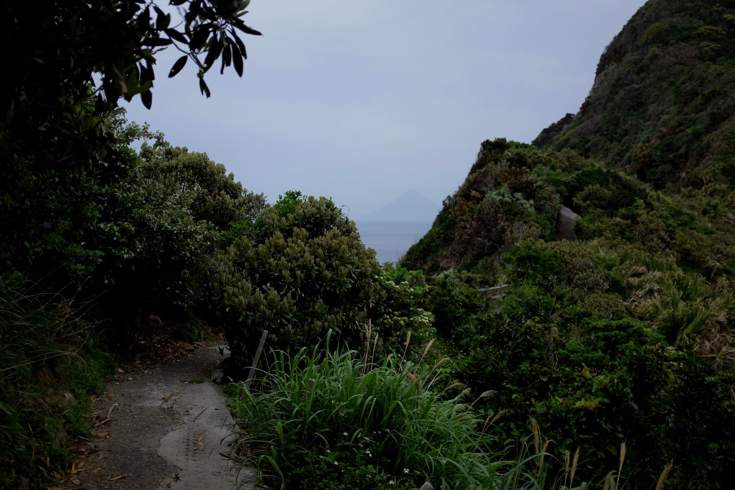 A very distant view of Cape Sata from a path in the jungle.