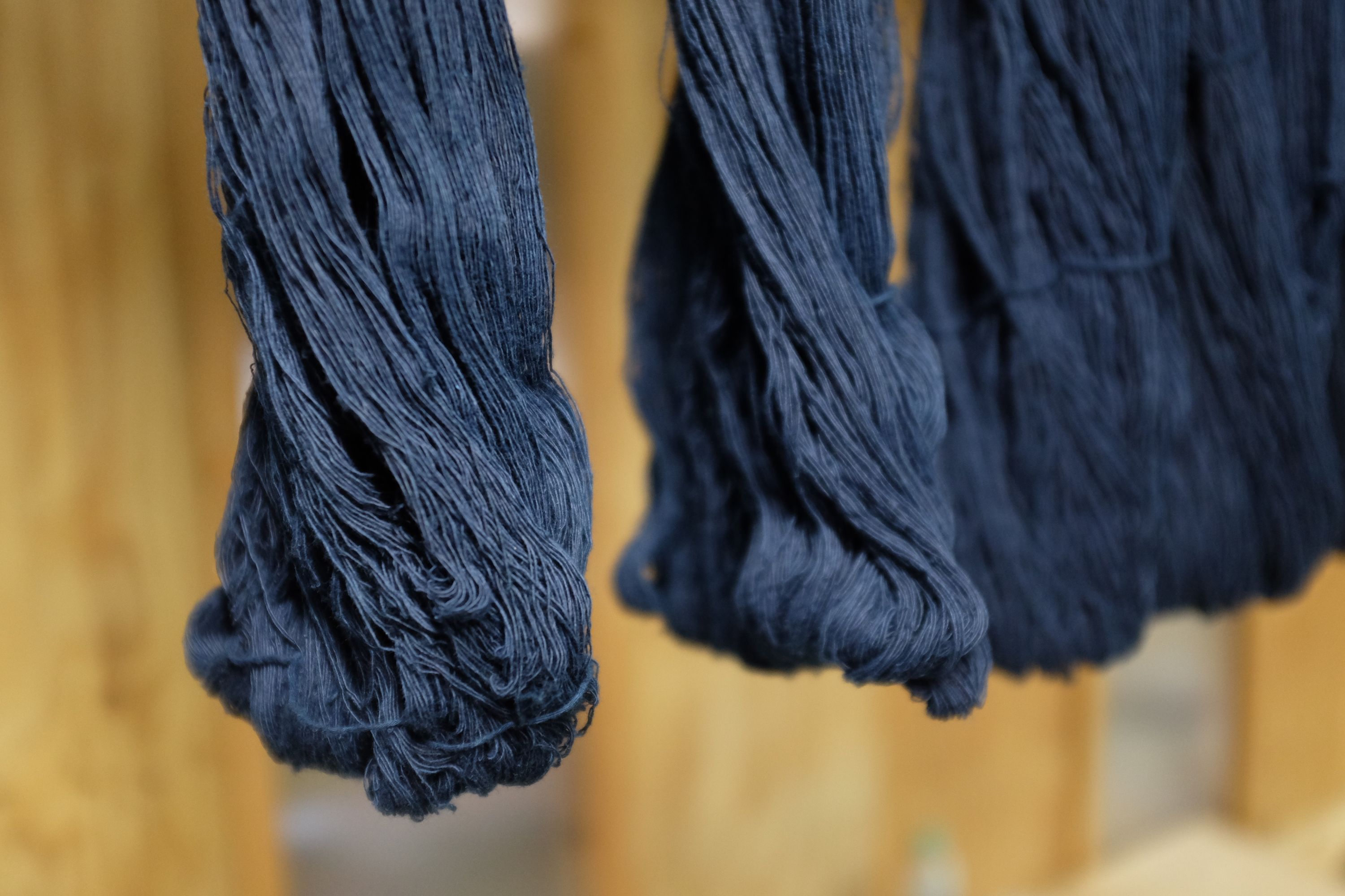 Indigo-dyed yarns of denim thread hang in a row.