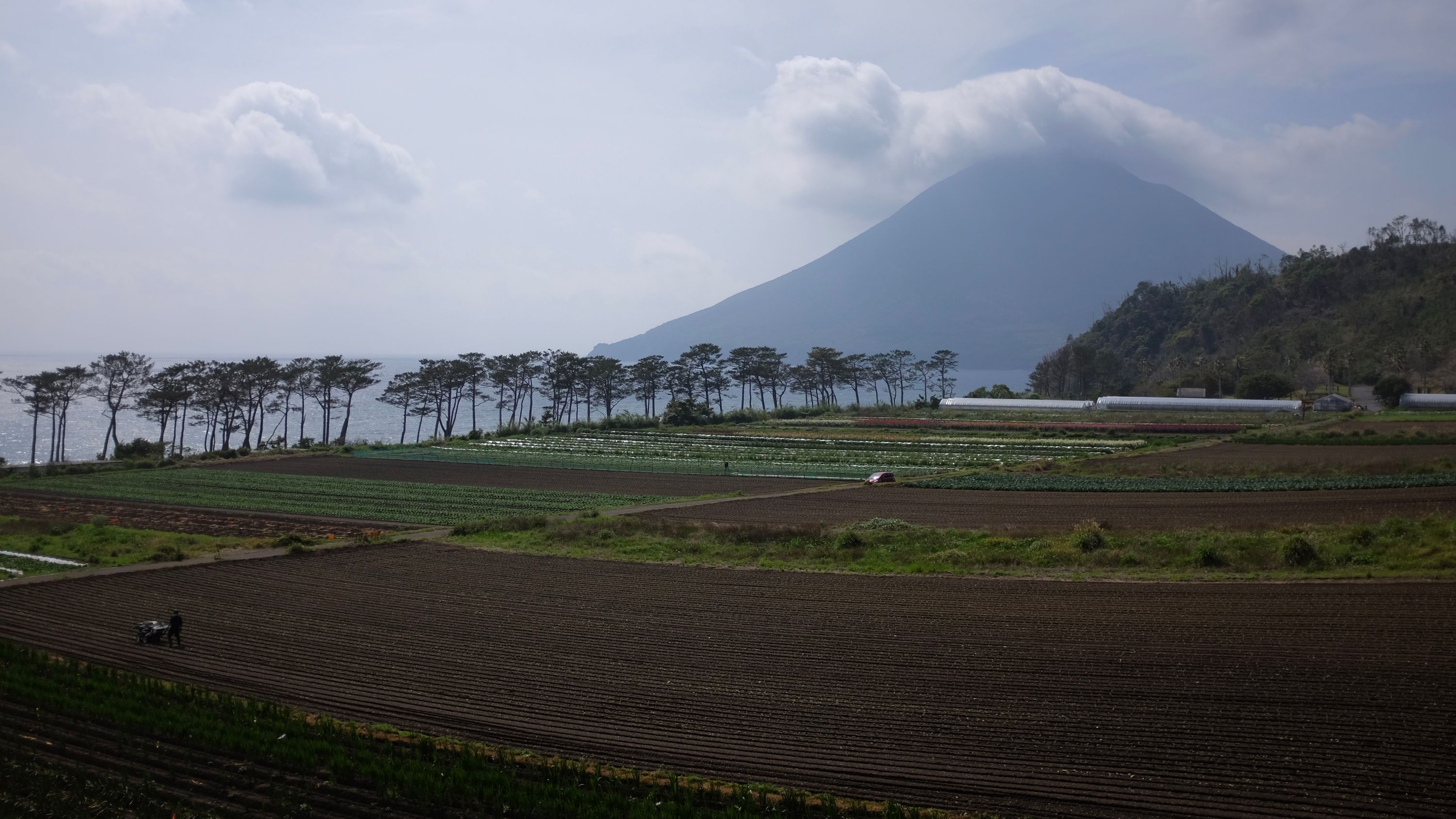 Fields with a view of Mount Kaimon at Cape Nagasakibana, Kagoshima. Photo: Peter Orosz