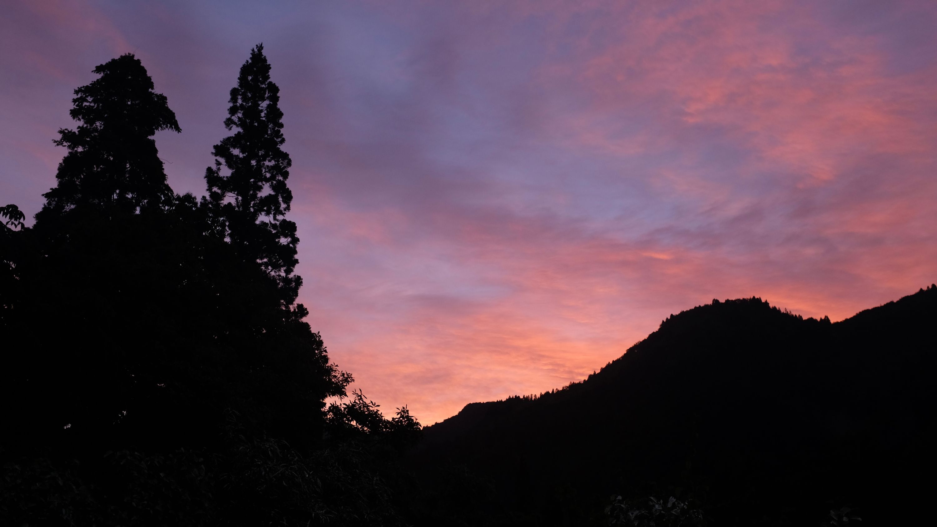Dawn colors in the sky above a mountain forest.