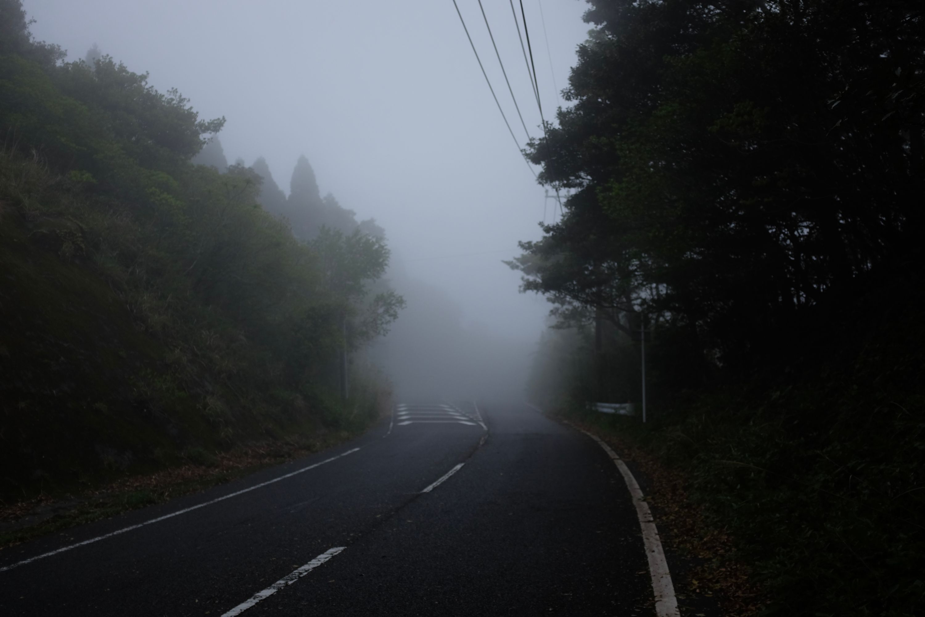 Looking out on a gloomy road half-covered in fog.