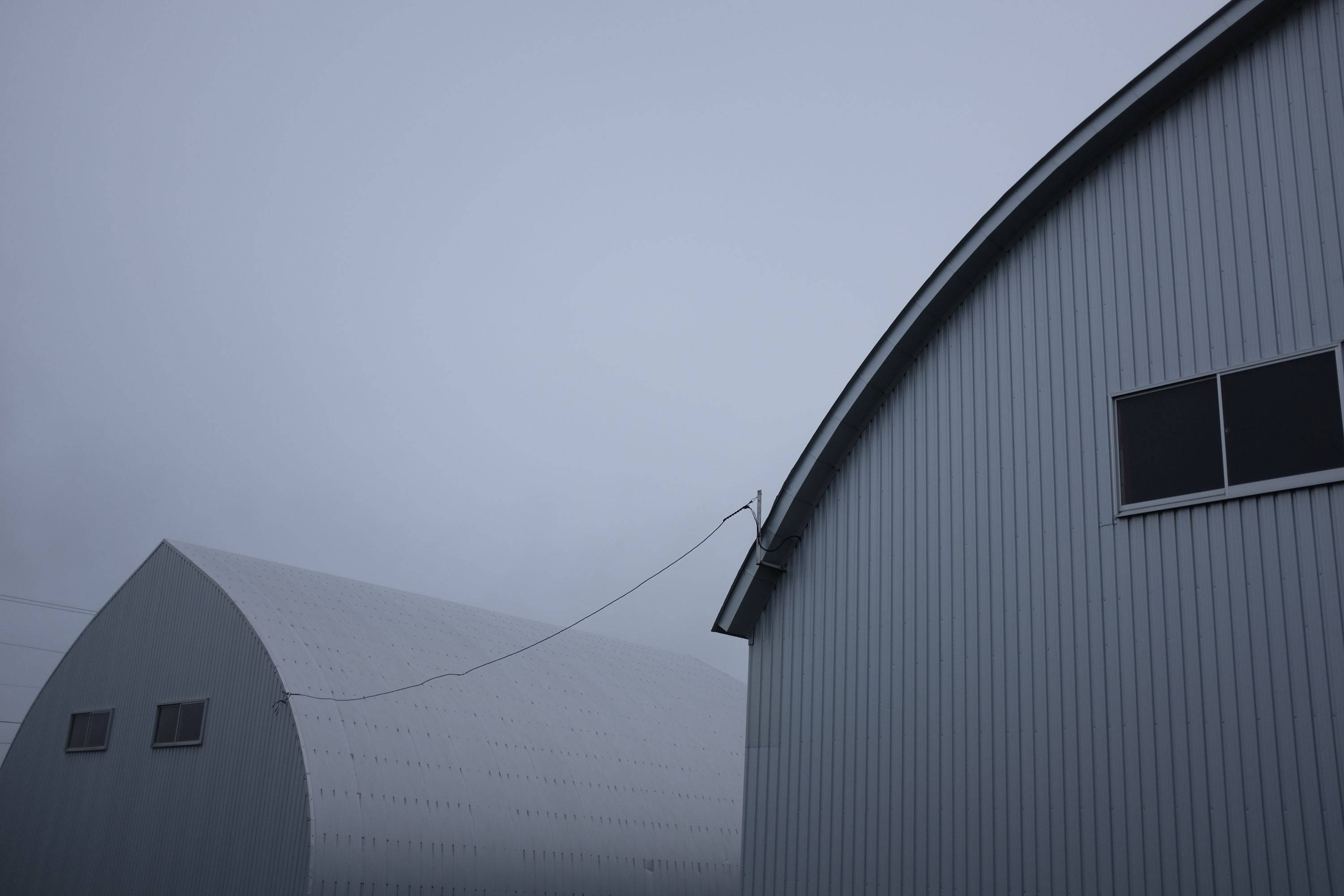 Under a light grey sky, two light grey barns, the left one looking a little like a Ku Klux Klansman.