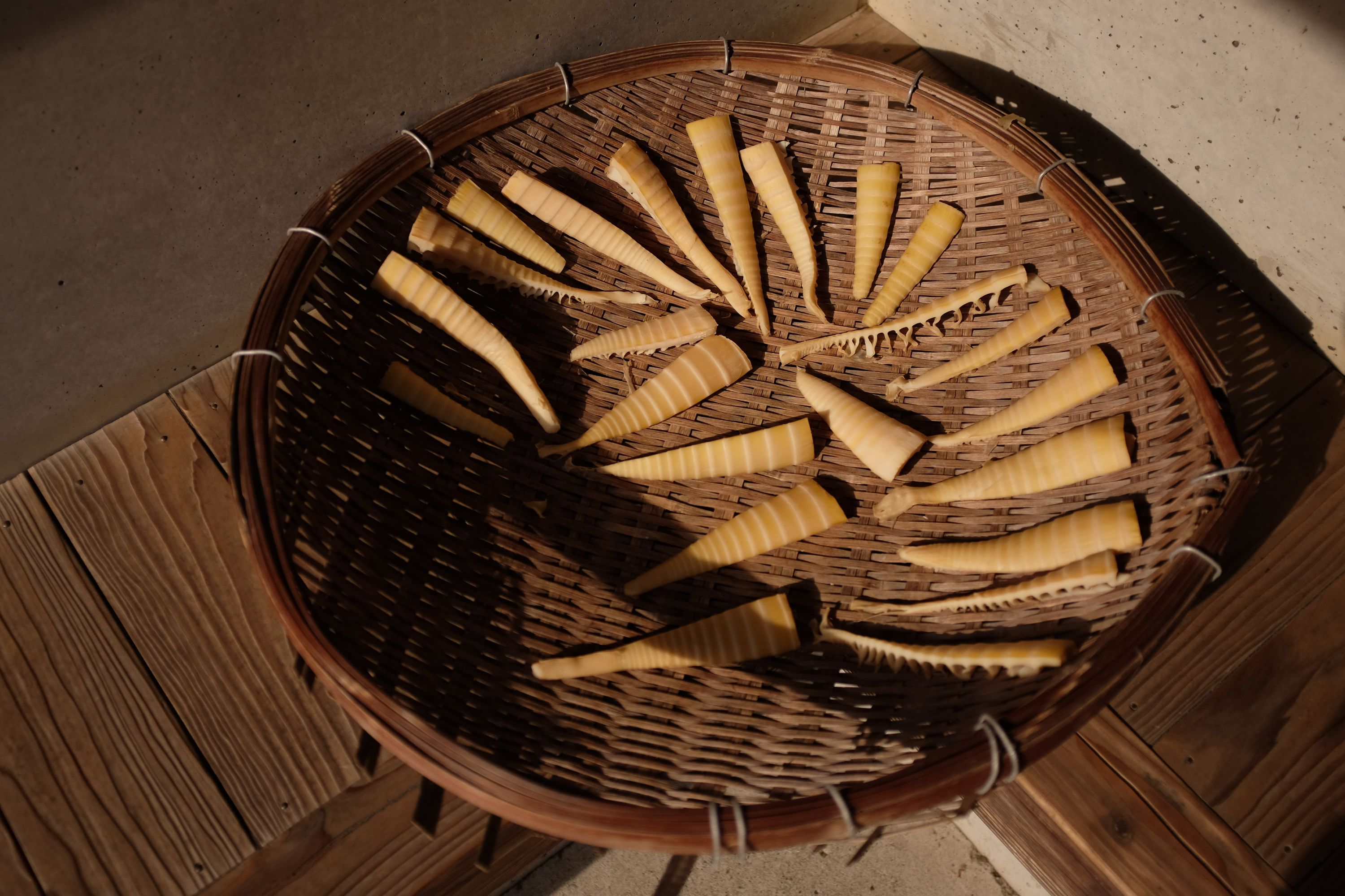 Bamboo shoots drying in a round basket in the afternoon light.