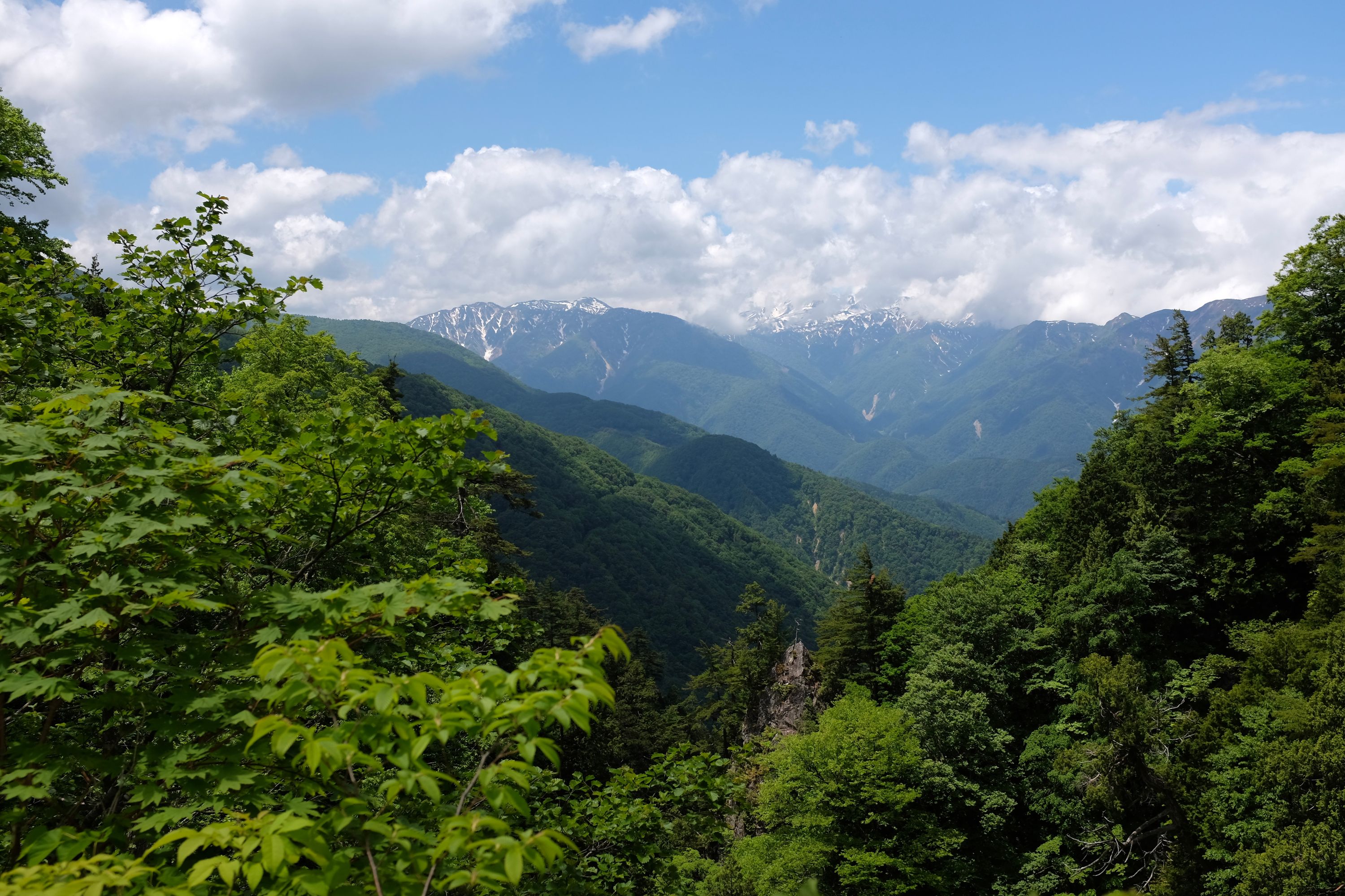 The snow peaks of Hakusan on the horizon, behind dense, forested hills.