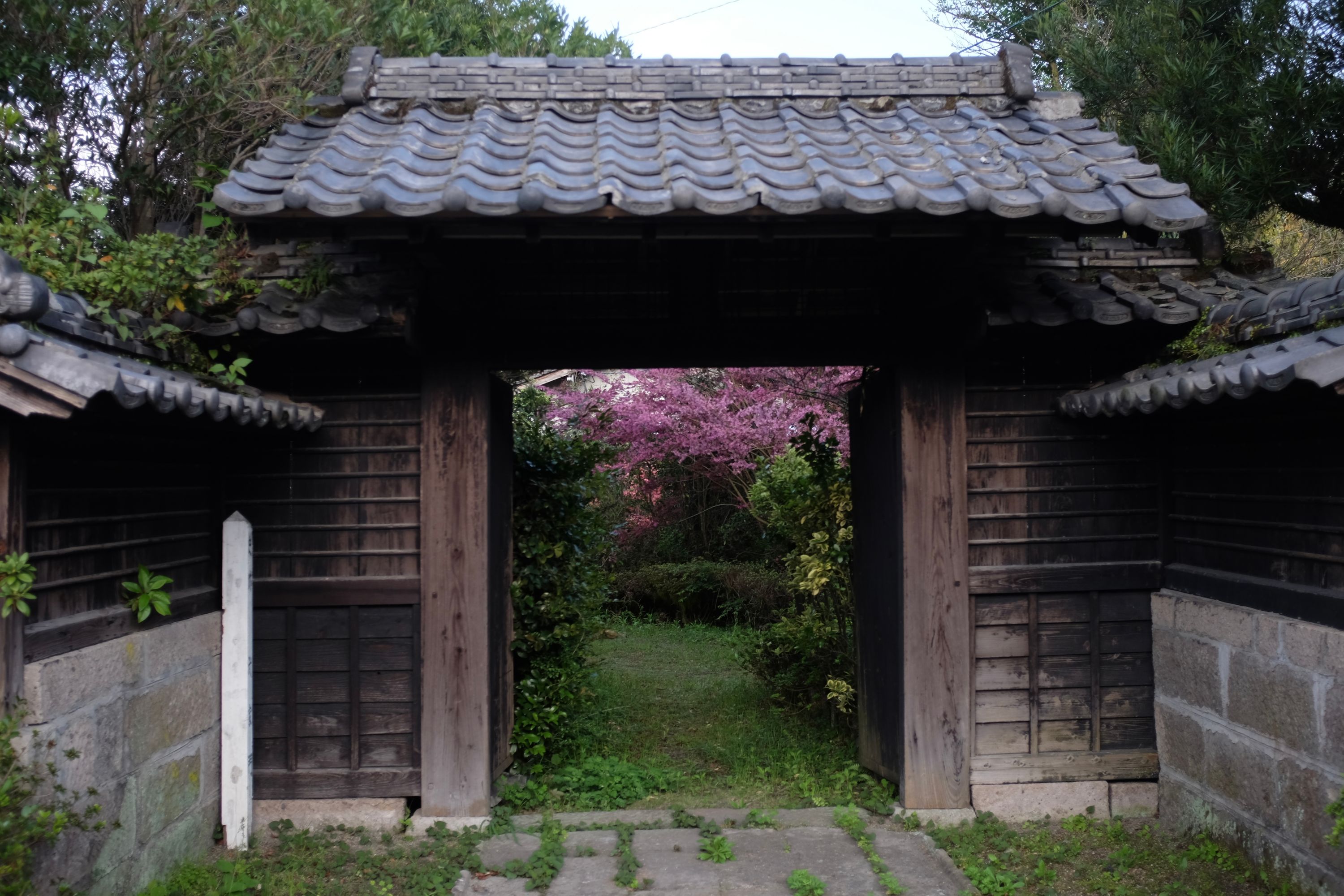 A garden of azaleas visible through the gate of a country house.
