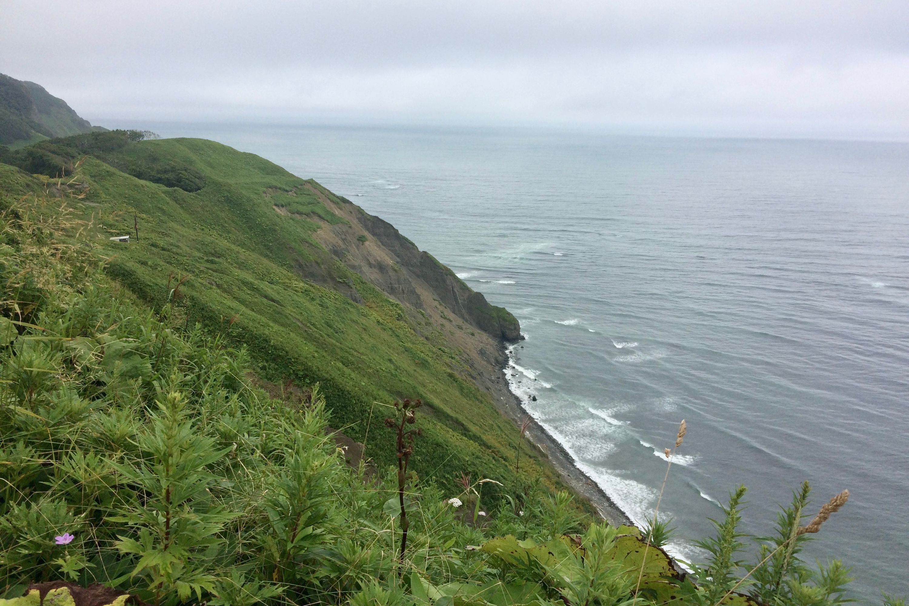 Steep, verdant cliffs fall away to the grey Pacific Ocean.