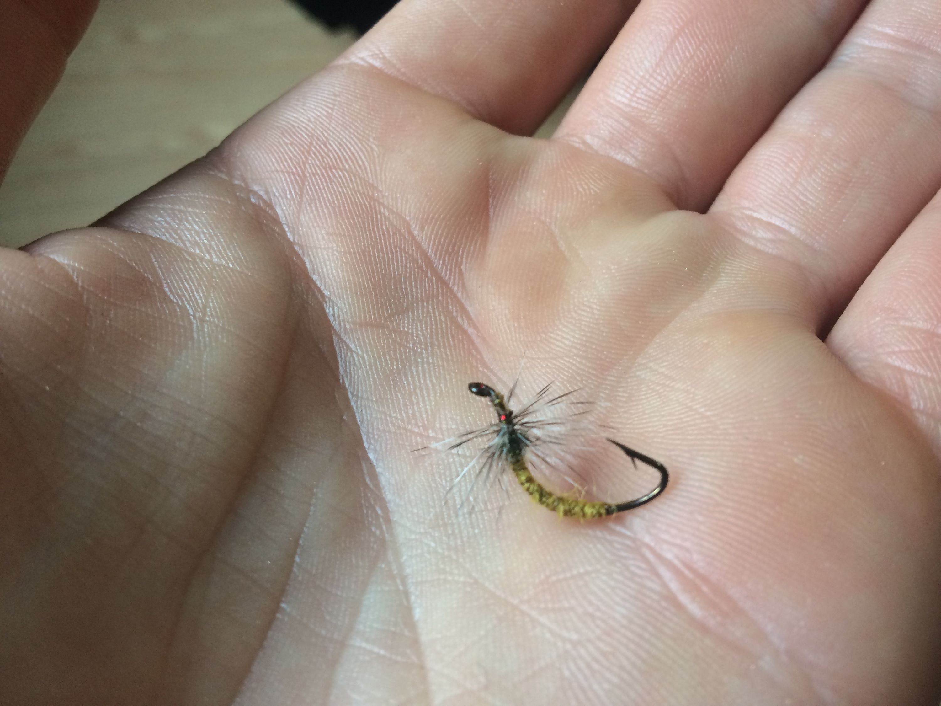 One of the flies in the palm of the author’s left hand, looking very small.
