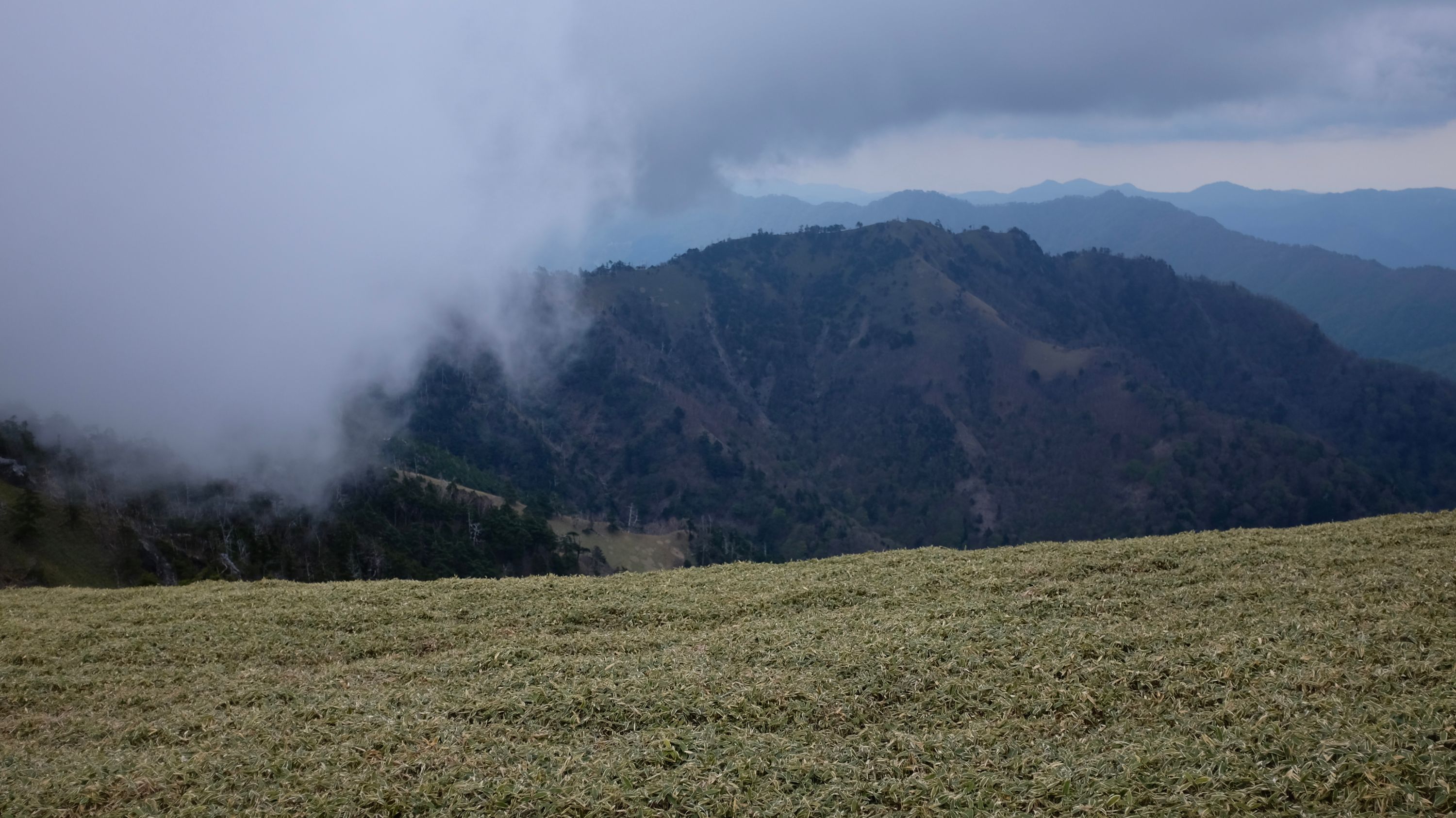 The grassy summit of Mount Tsurugi under clouds so low they almost touch the ground.