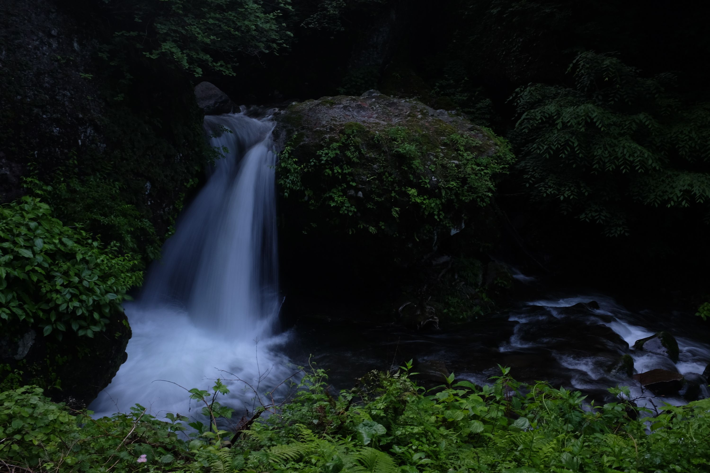 A small waterfall in a stream in a verdant forest.