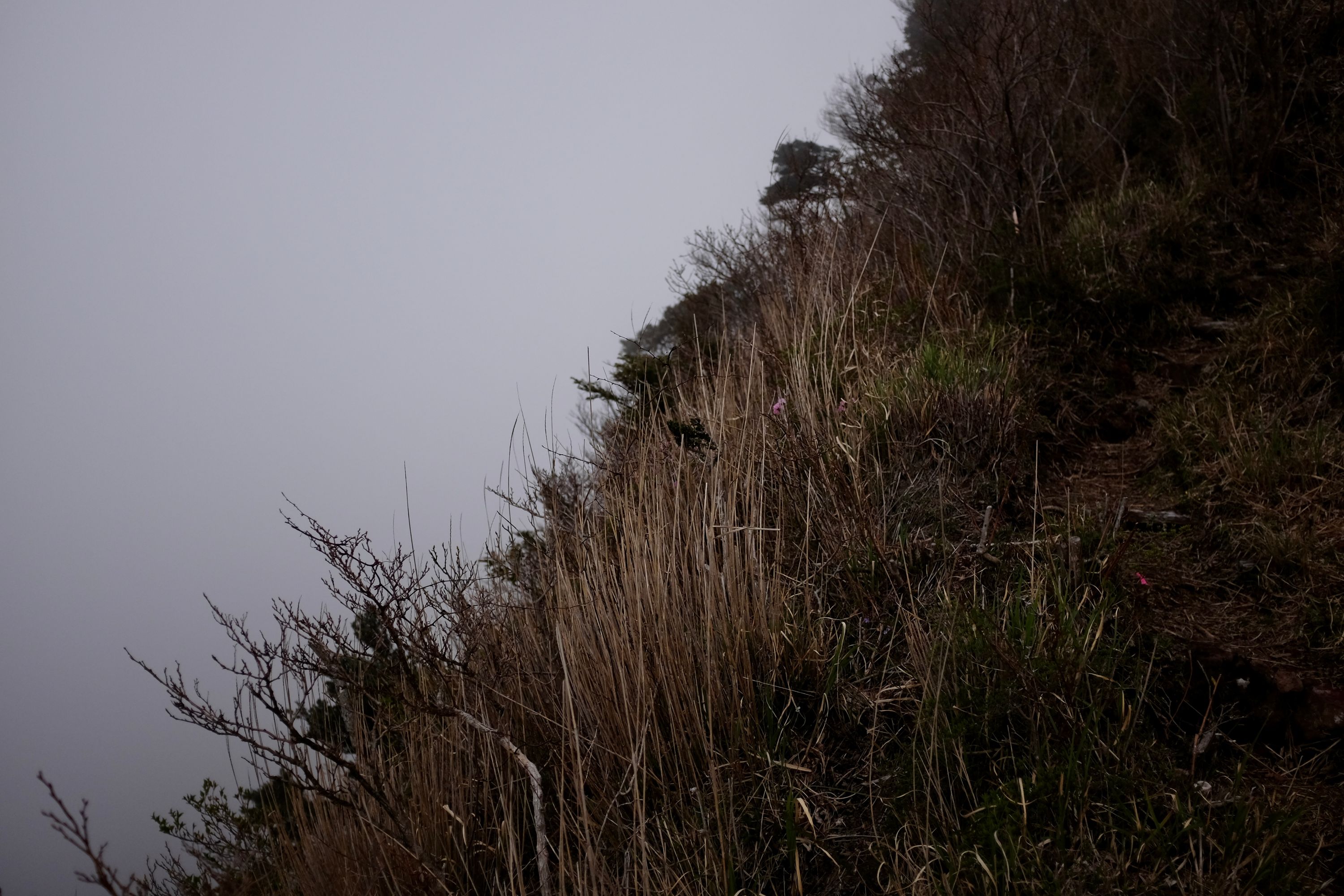 On the path to the summit of Takachino-no-mine, Kirishima Mountains, Miyazaki. Photo: Peter Orosz