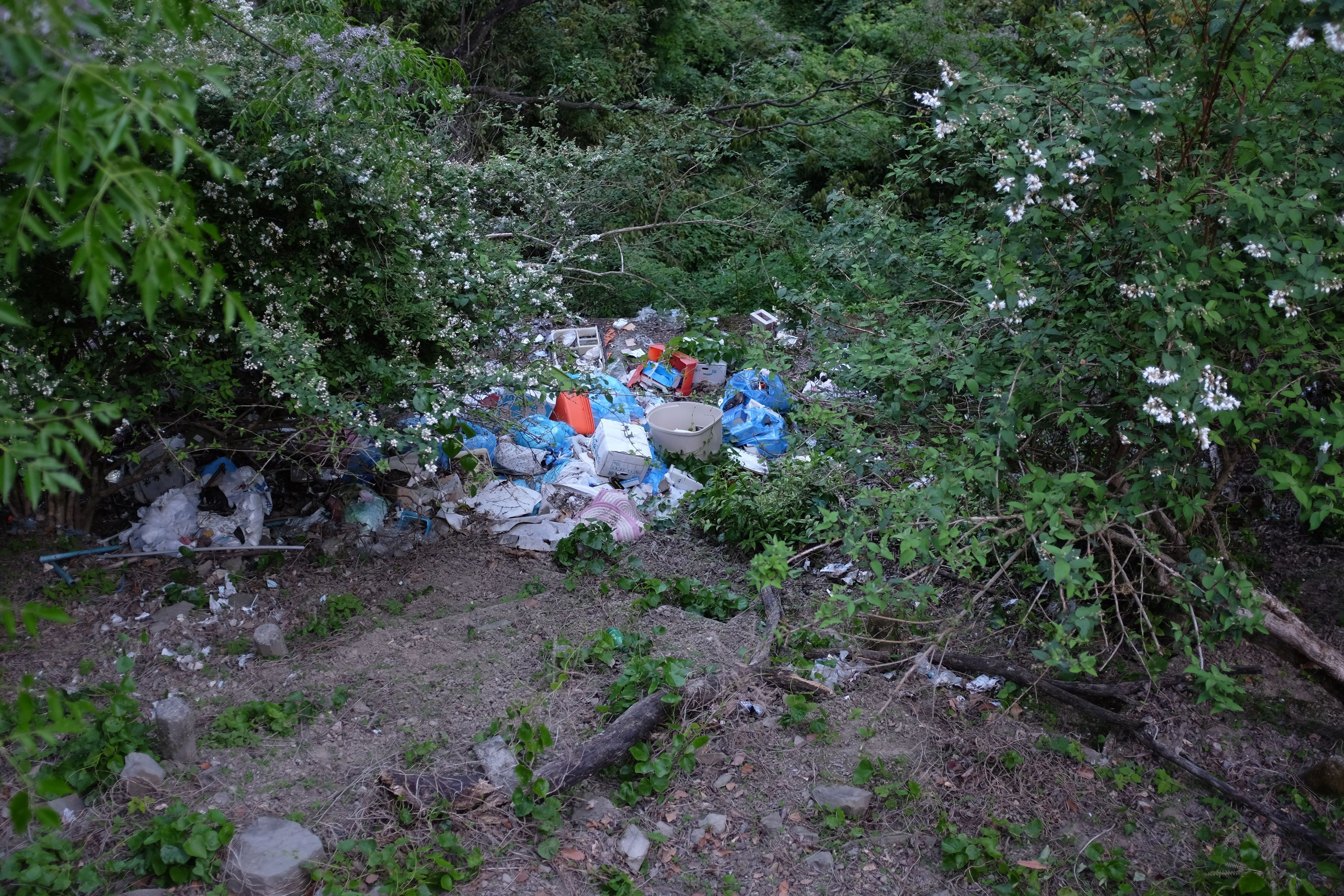 Heaps of trash in the undergrowth of a steep hillside.
