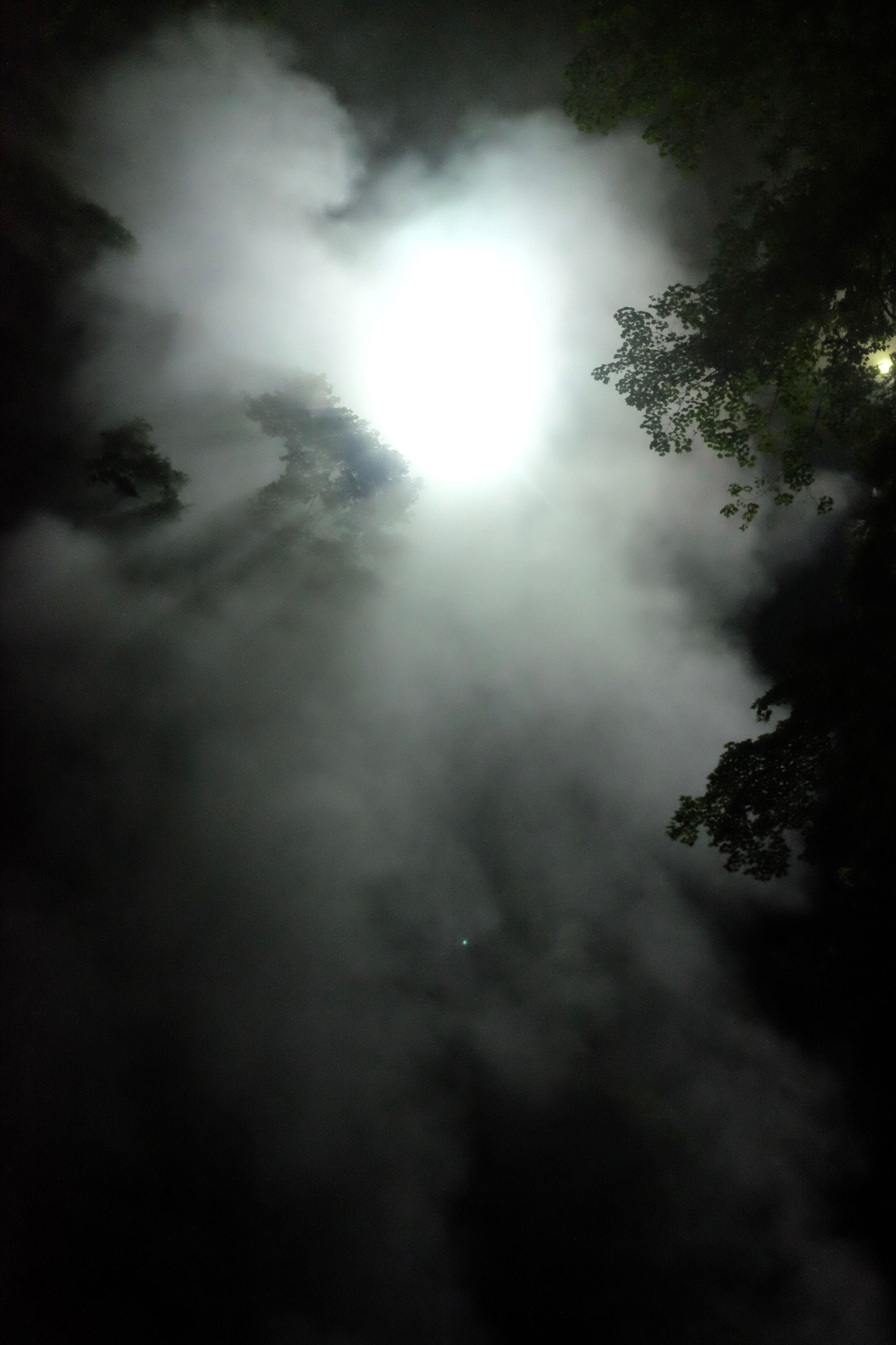 Looking up at the sky, the Moon lights up clouds of steam in a forest.