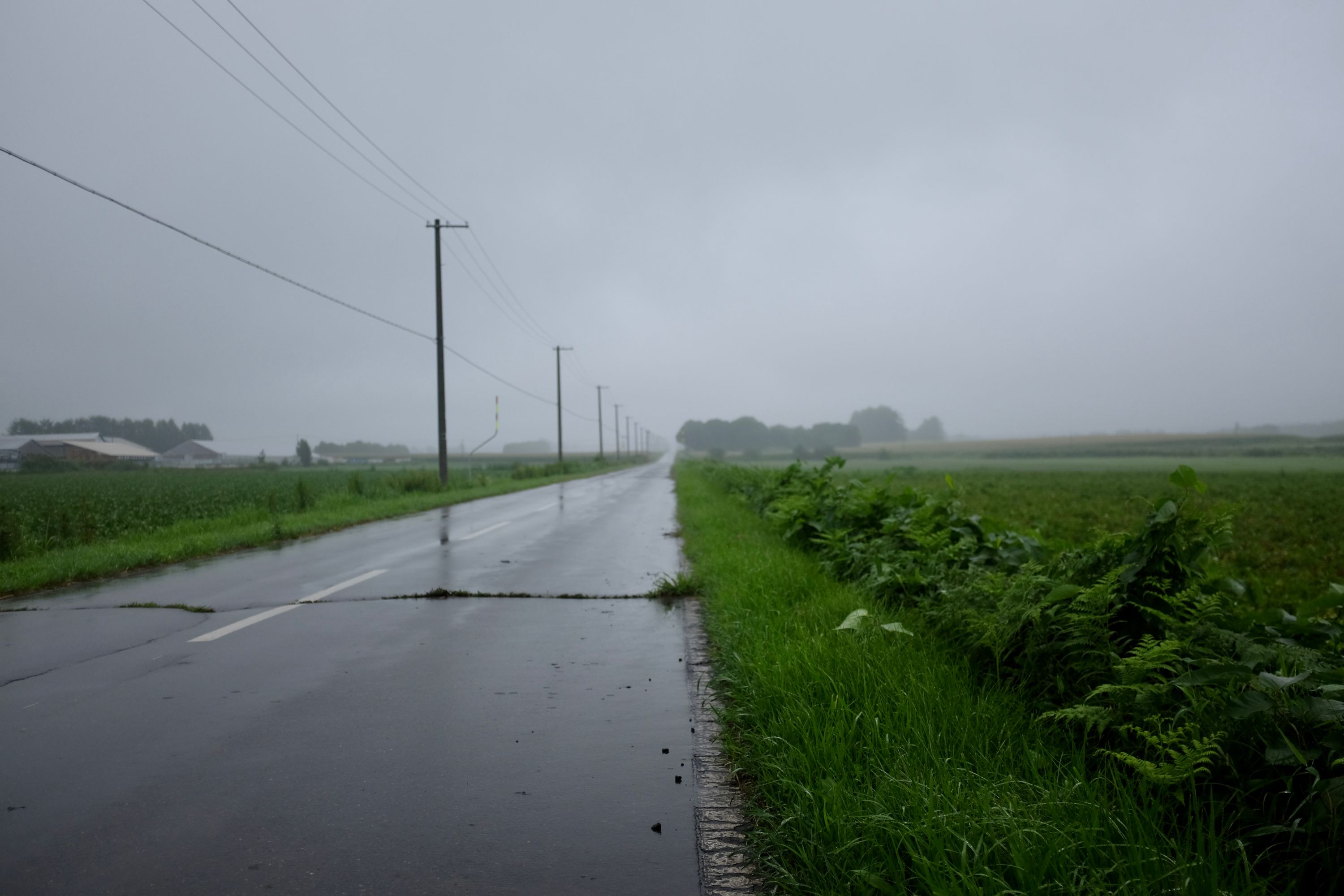 A straight road extends into the distance between fields under grey clouds.