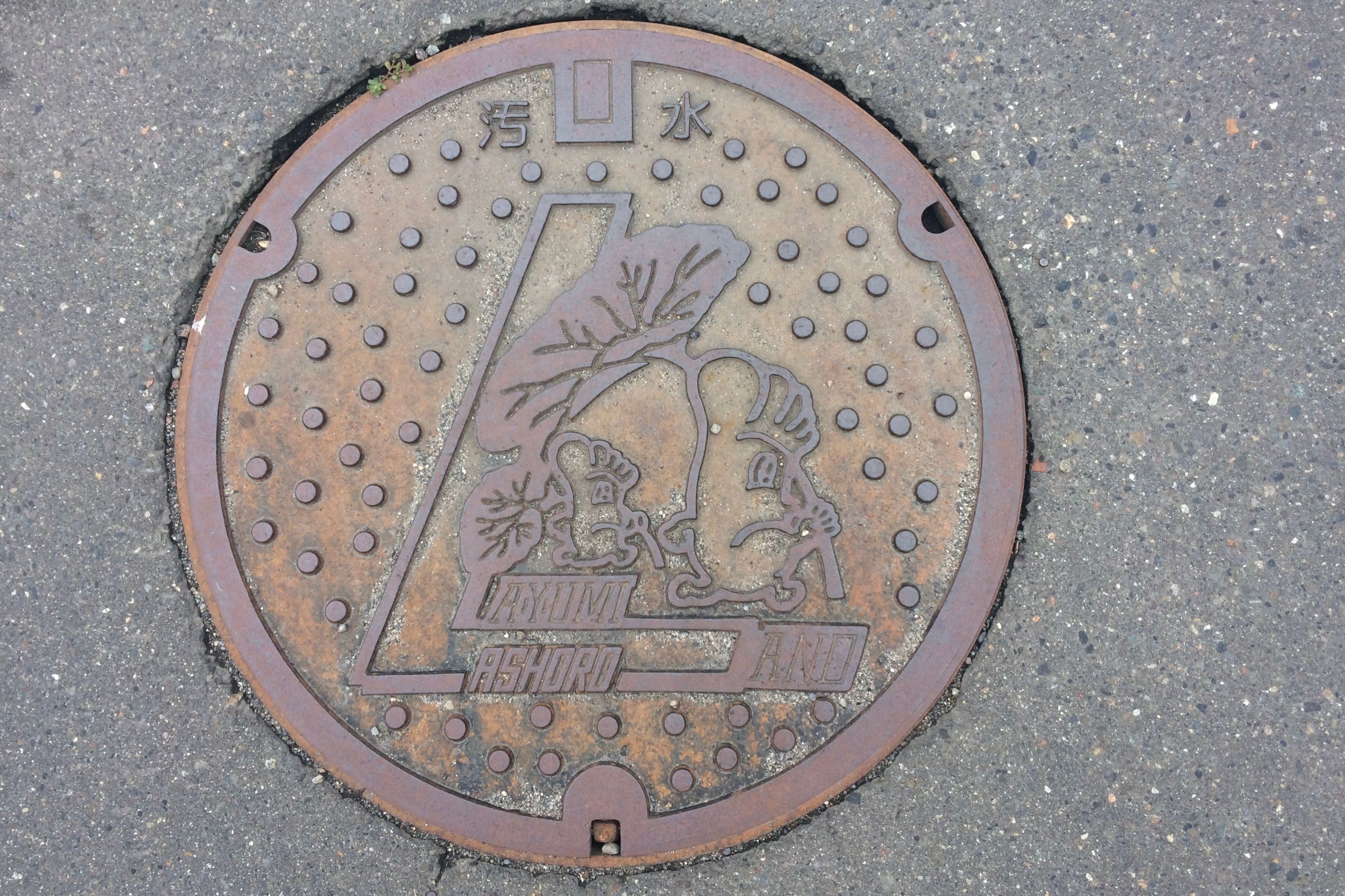A manhole cover decorated with two large feet holding large leaves.