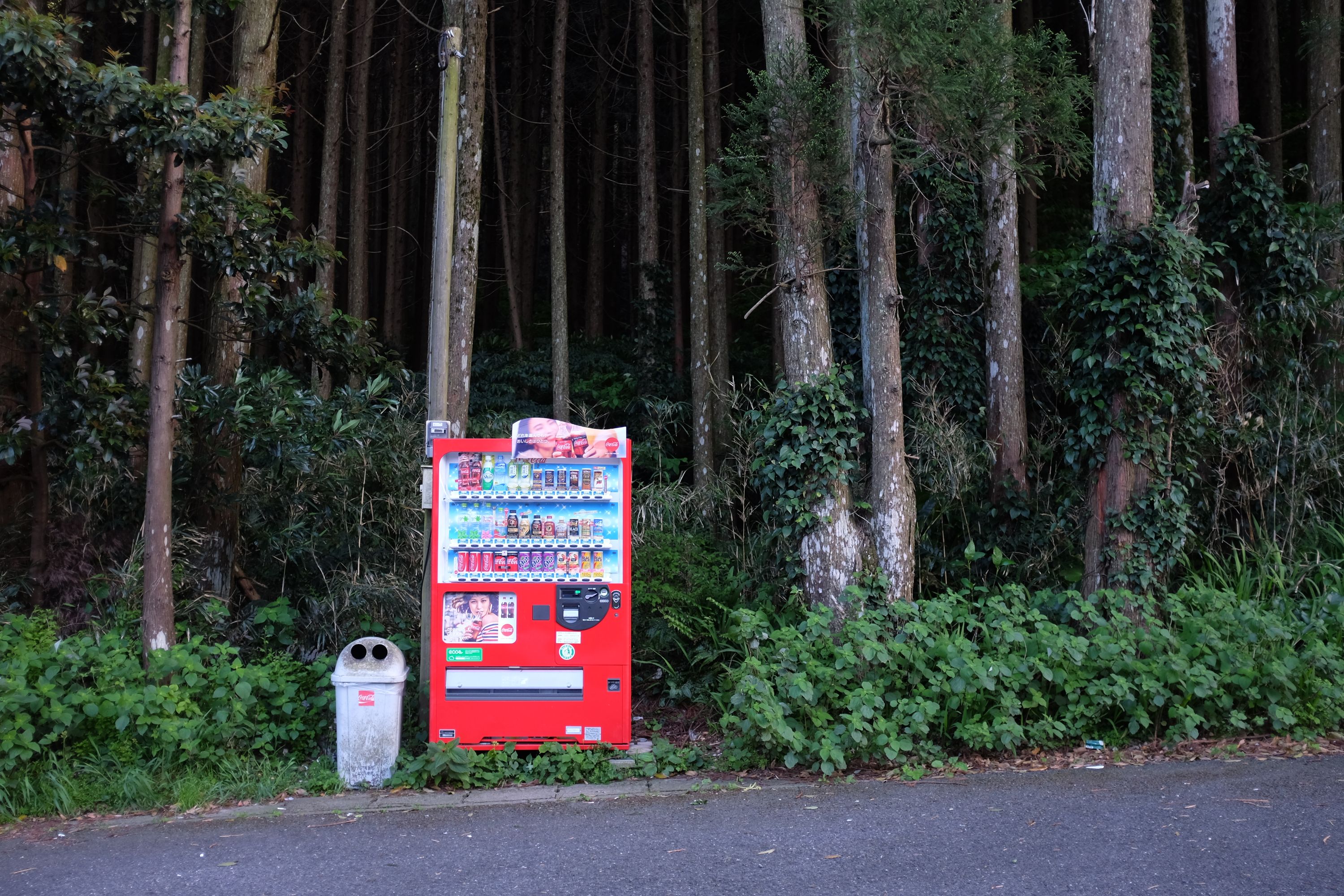 A red vending machine at the edge of a forest.
