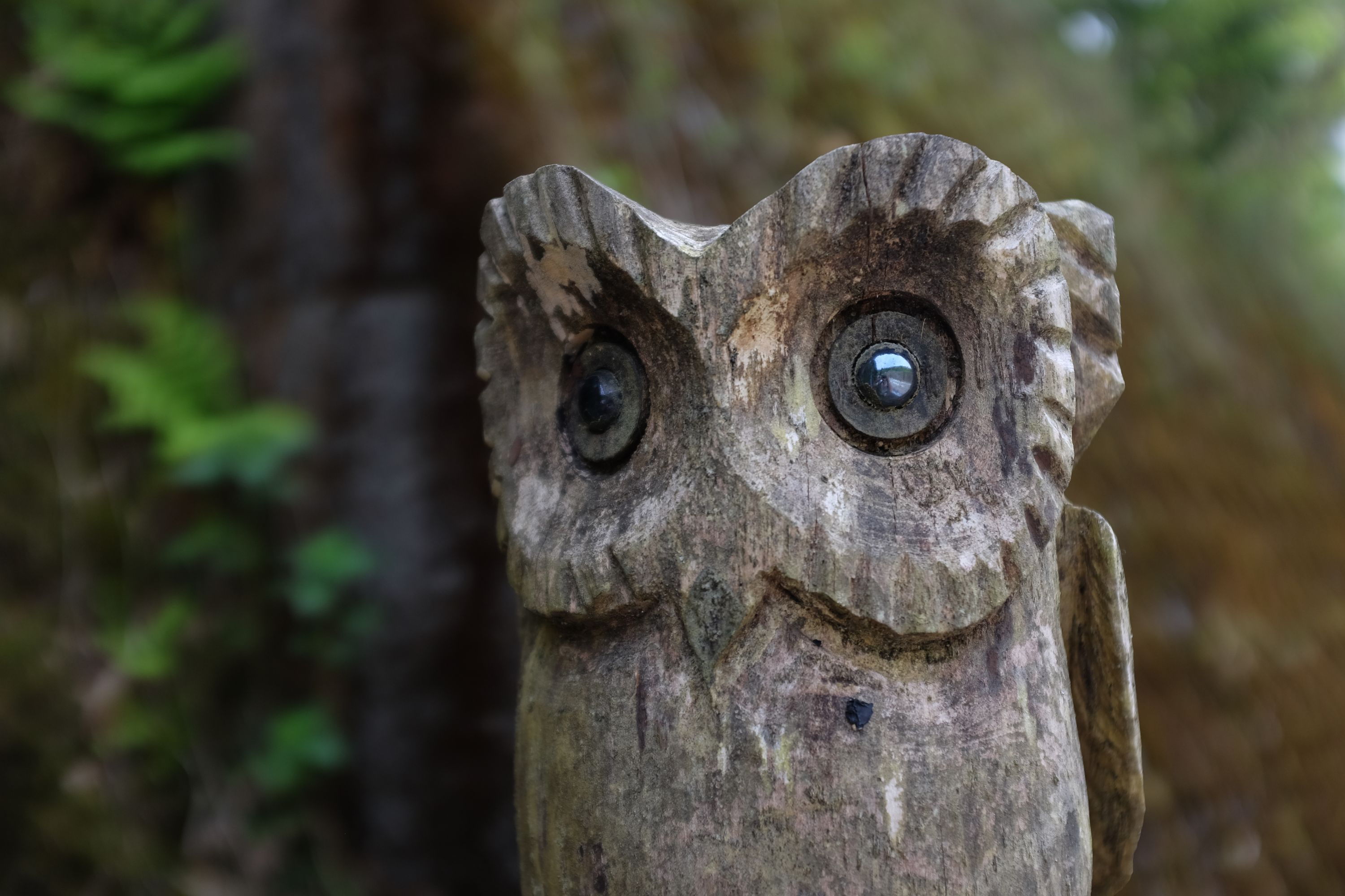 A closeup of the head of a carved wooden owl.