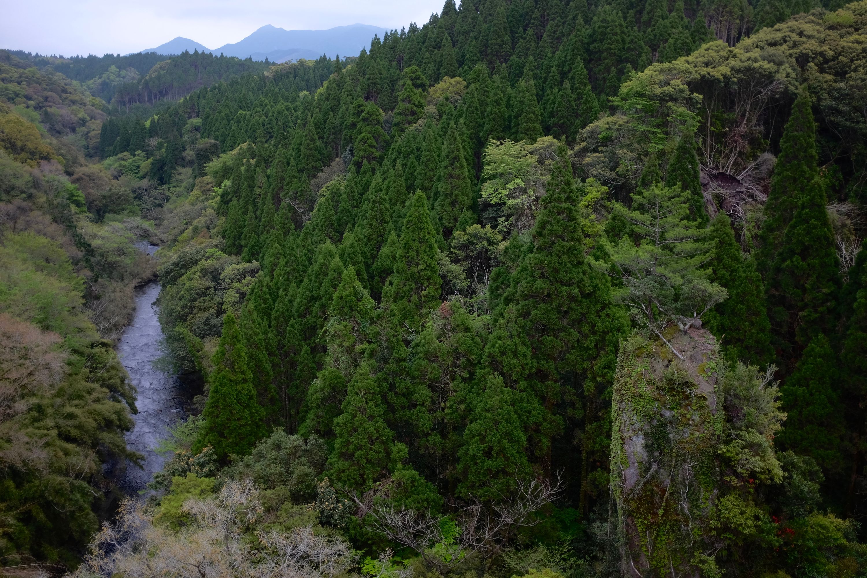 Looking down from a bridge into a steep, forested gorge, with mountains on the horizon.