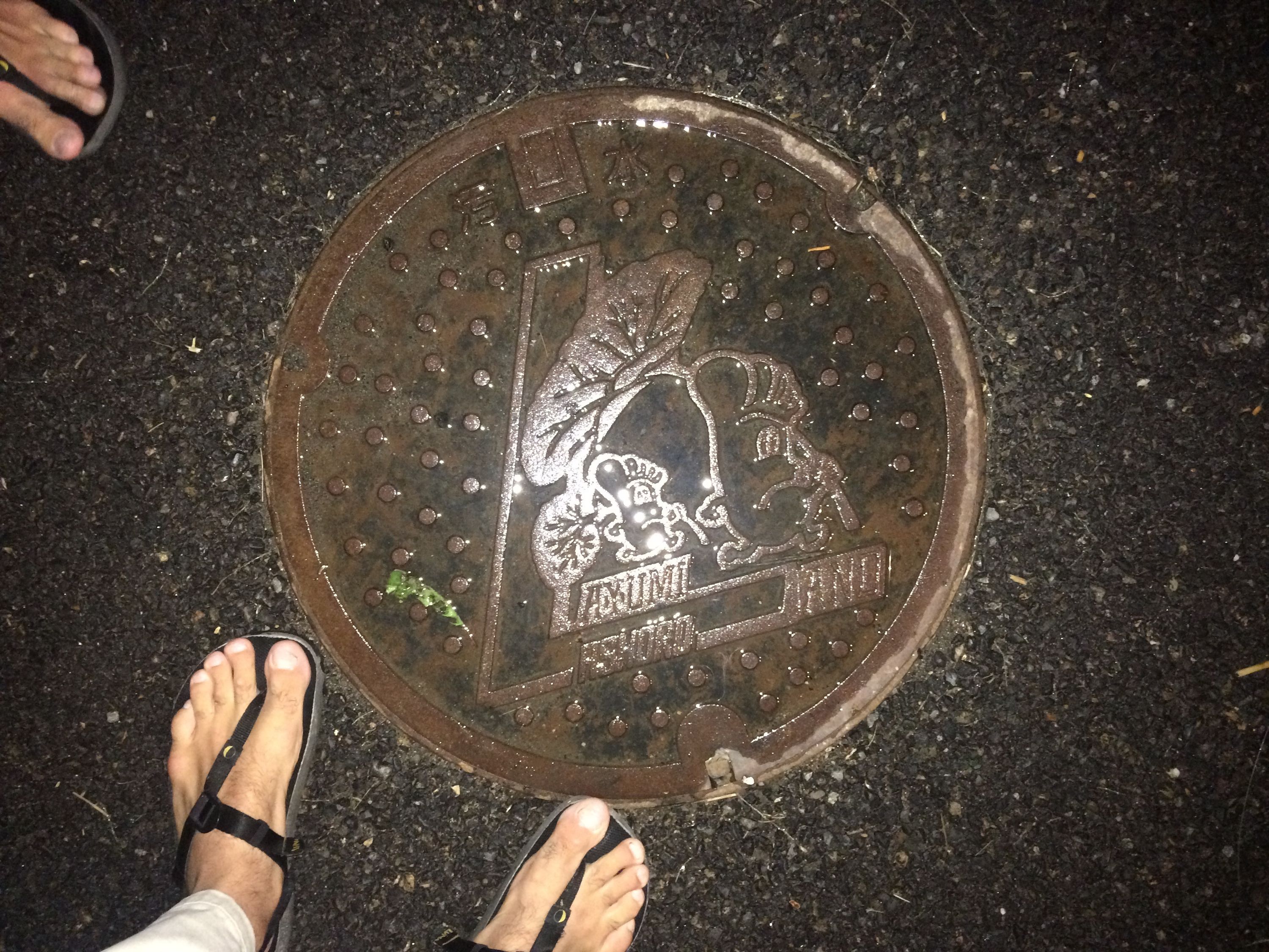 The bare, sandalled feet of the author and Gabor around a manhole cover decorated with two large feet holding large leaves.