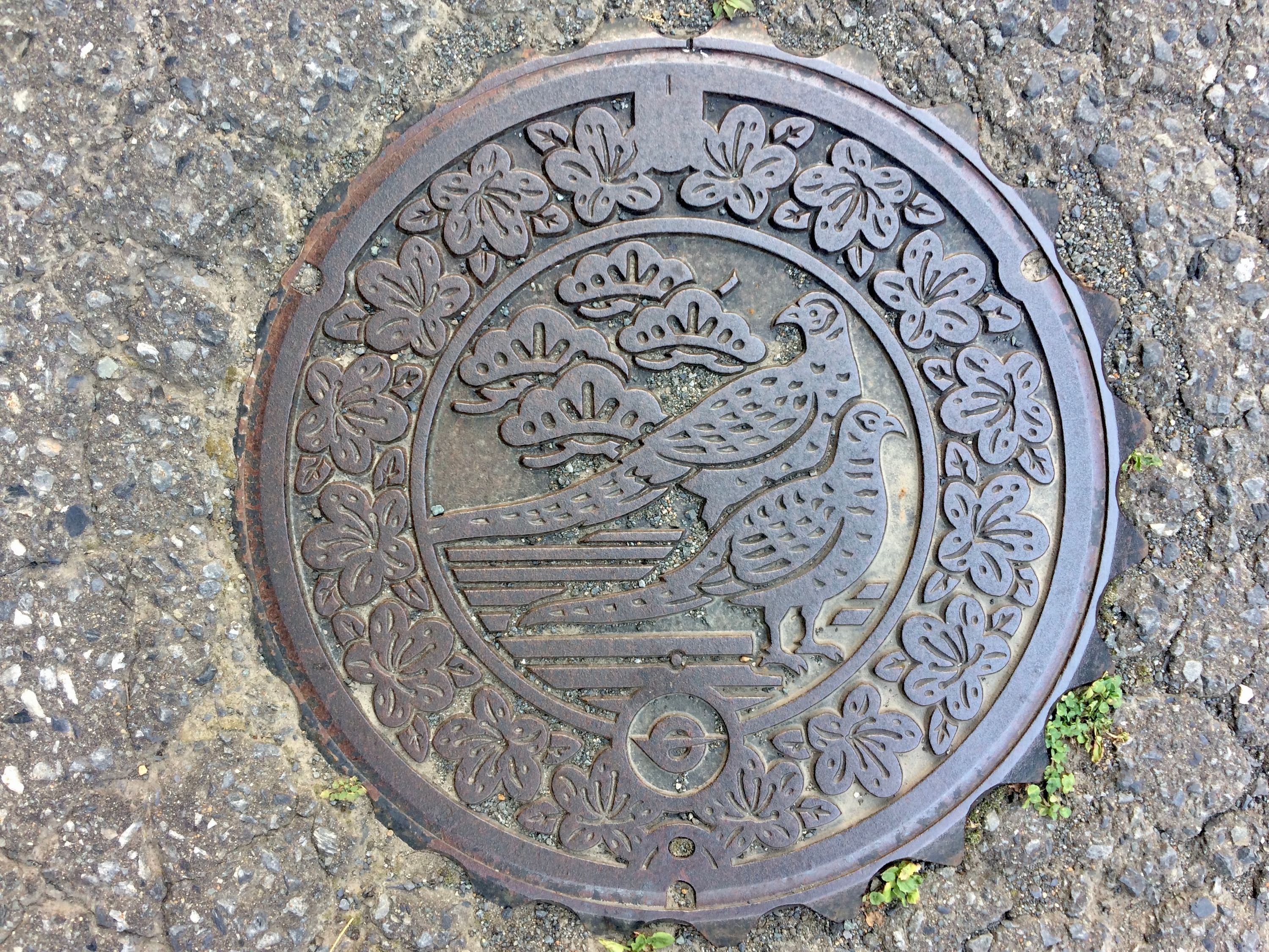 A manhole cover shows two very beautiful pheasants.