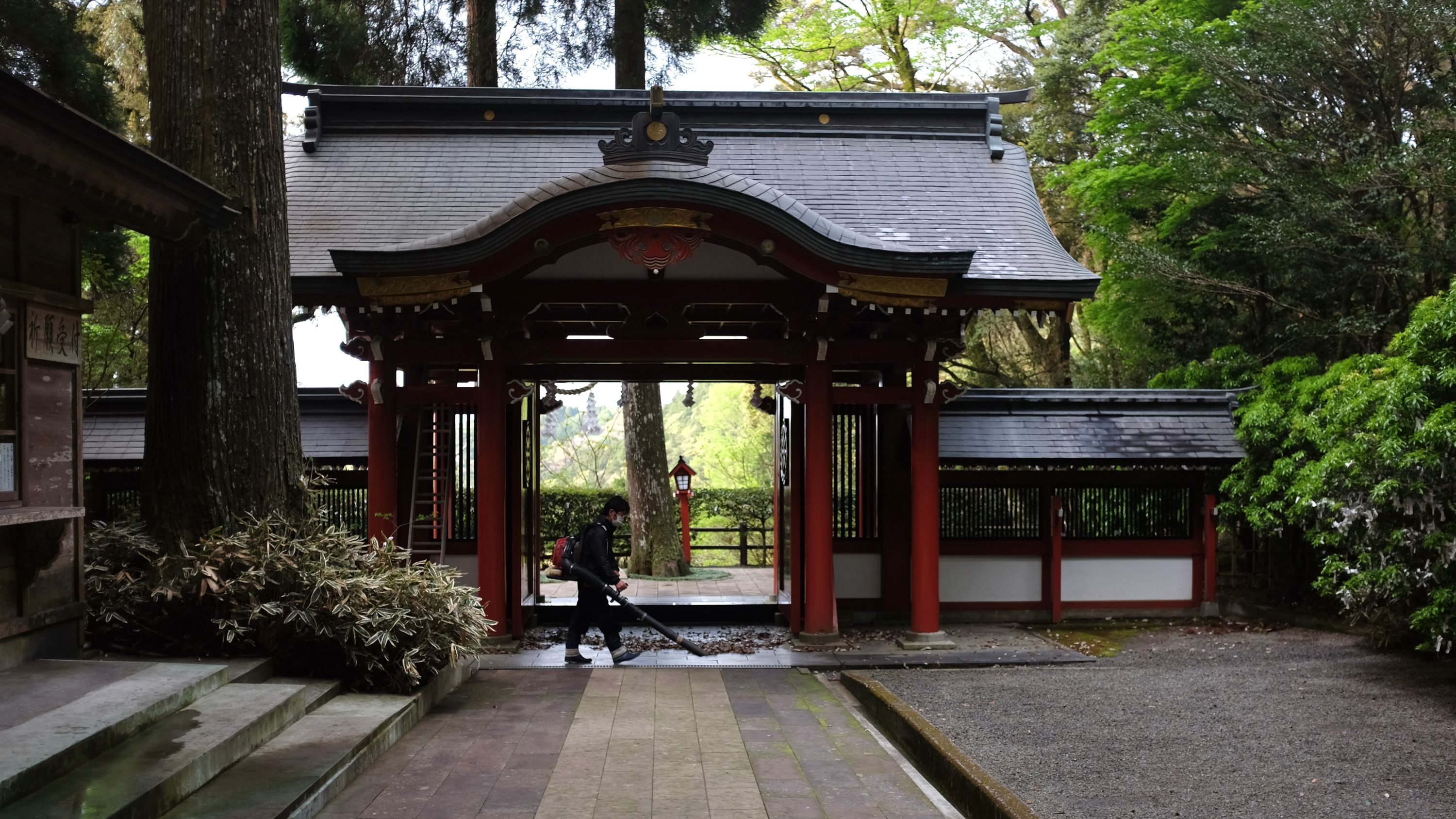 A groundskeeper working with a leafblower walks across the large gate of a Shinto shrine.