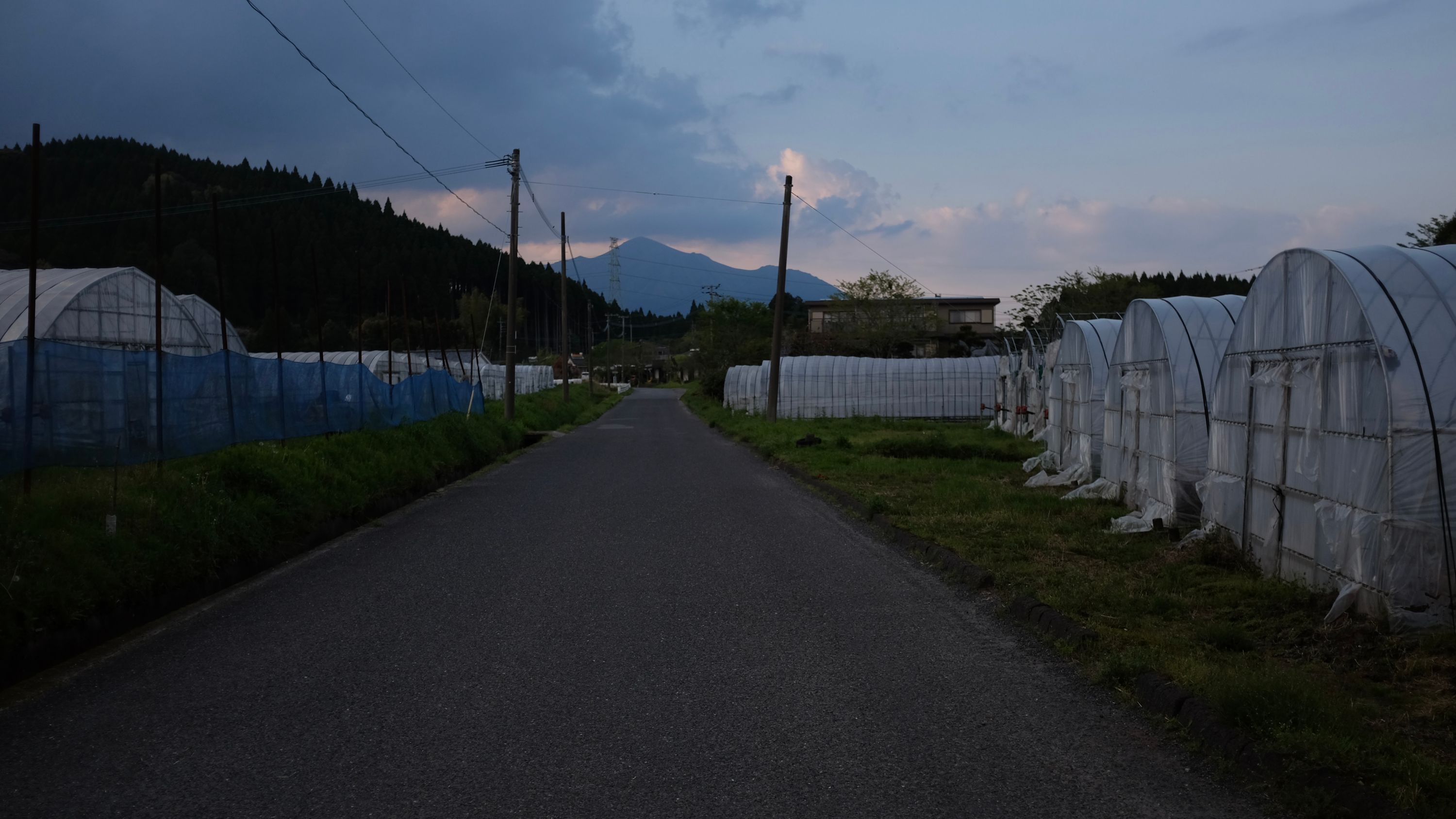 View of Takachino-no-mine from the fields in Takarabe, Soo, Kagoshima. Photo: Peter Orosz