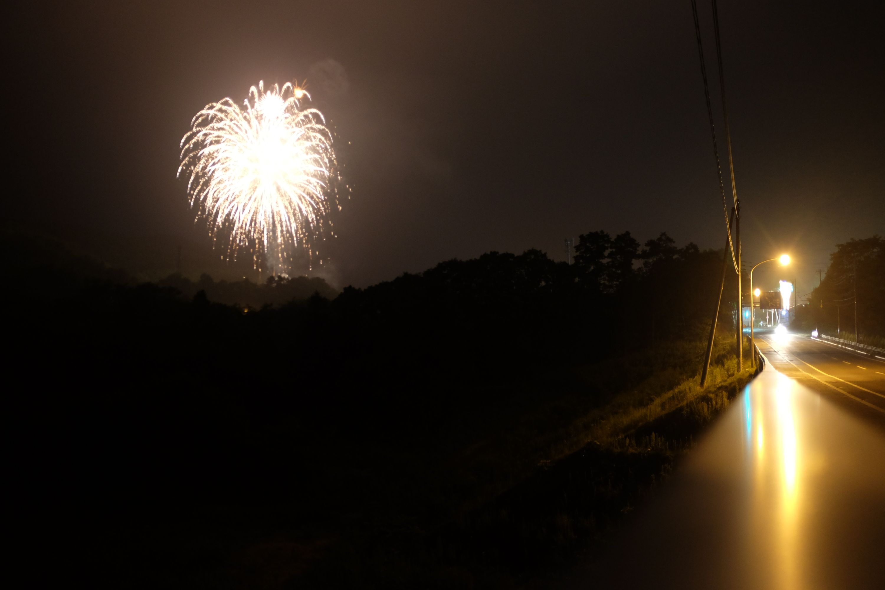 Fireworks exploding above a dark forest.