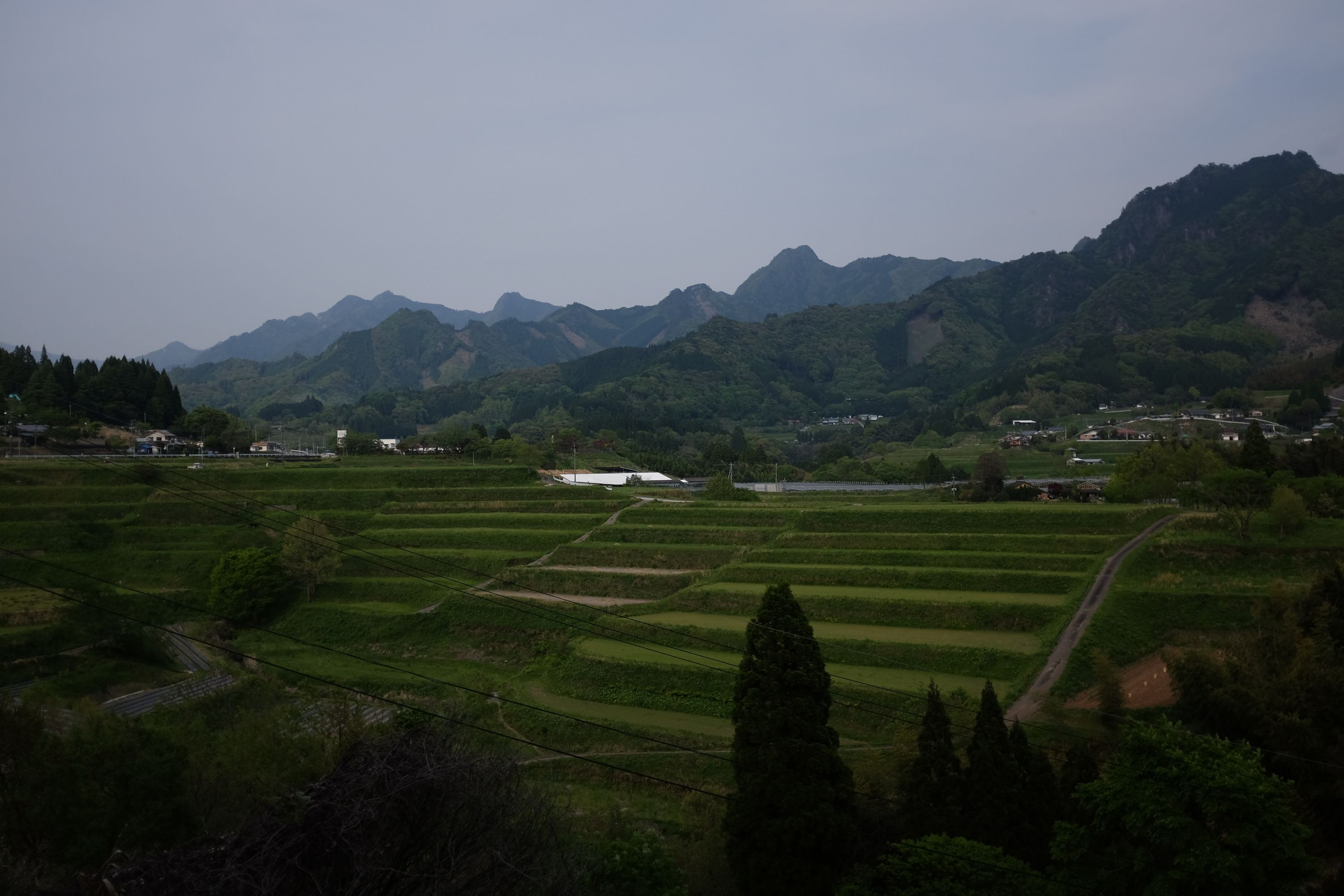 Panorama of terraced ricefields and jagged, forested mountains.