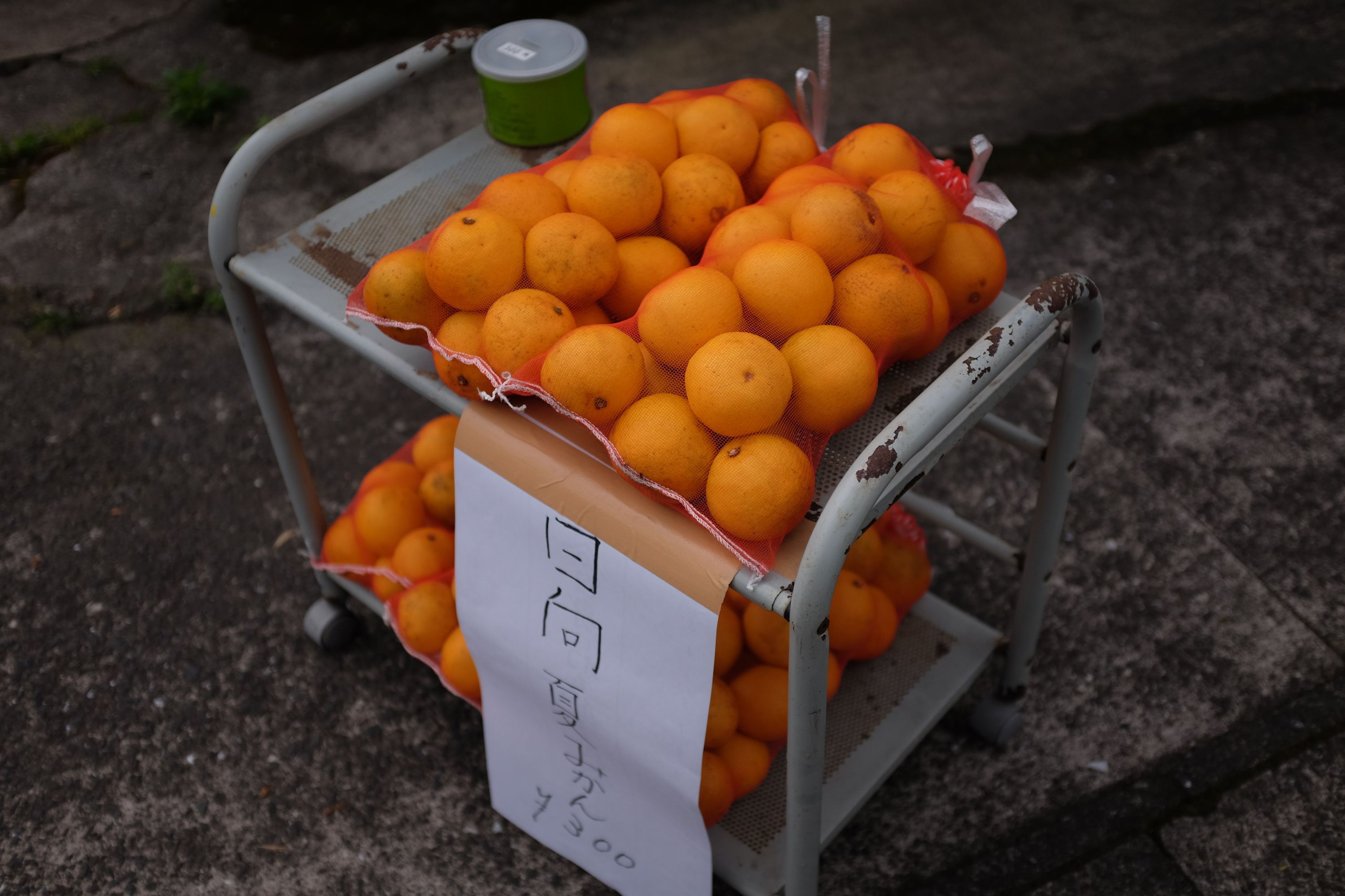 Large bags of oranges for sale on a shelf.