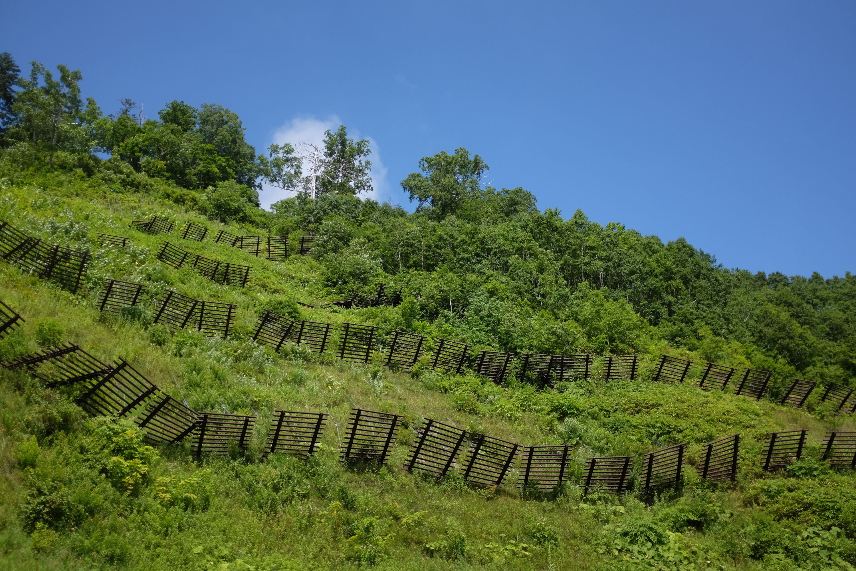 Rows of snow fences on a bright green hillside.