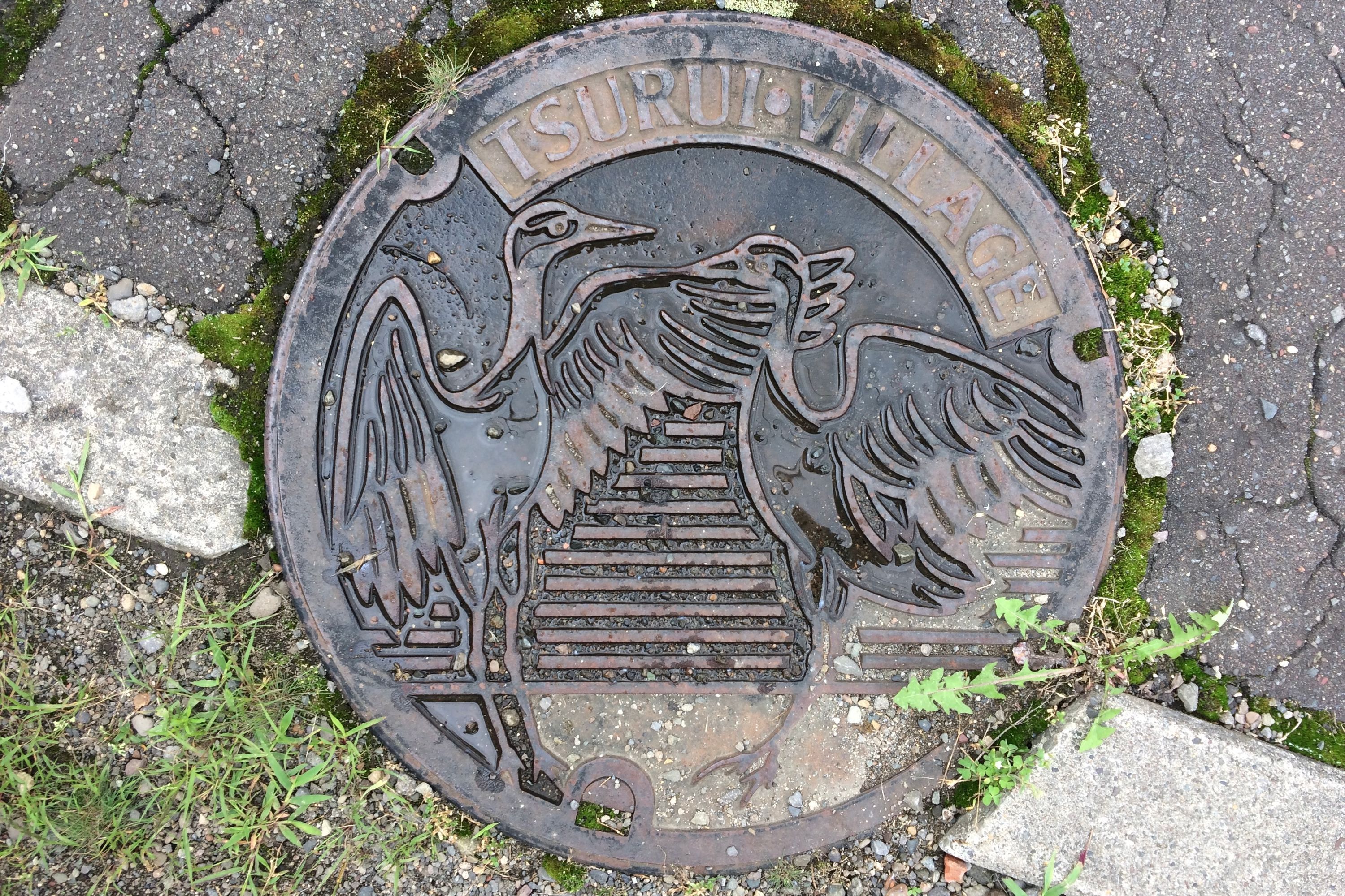A manhole cover from Tsurui shows two red-crowned cranes dancing.