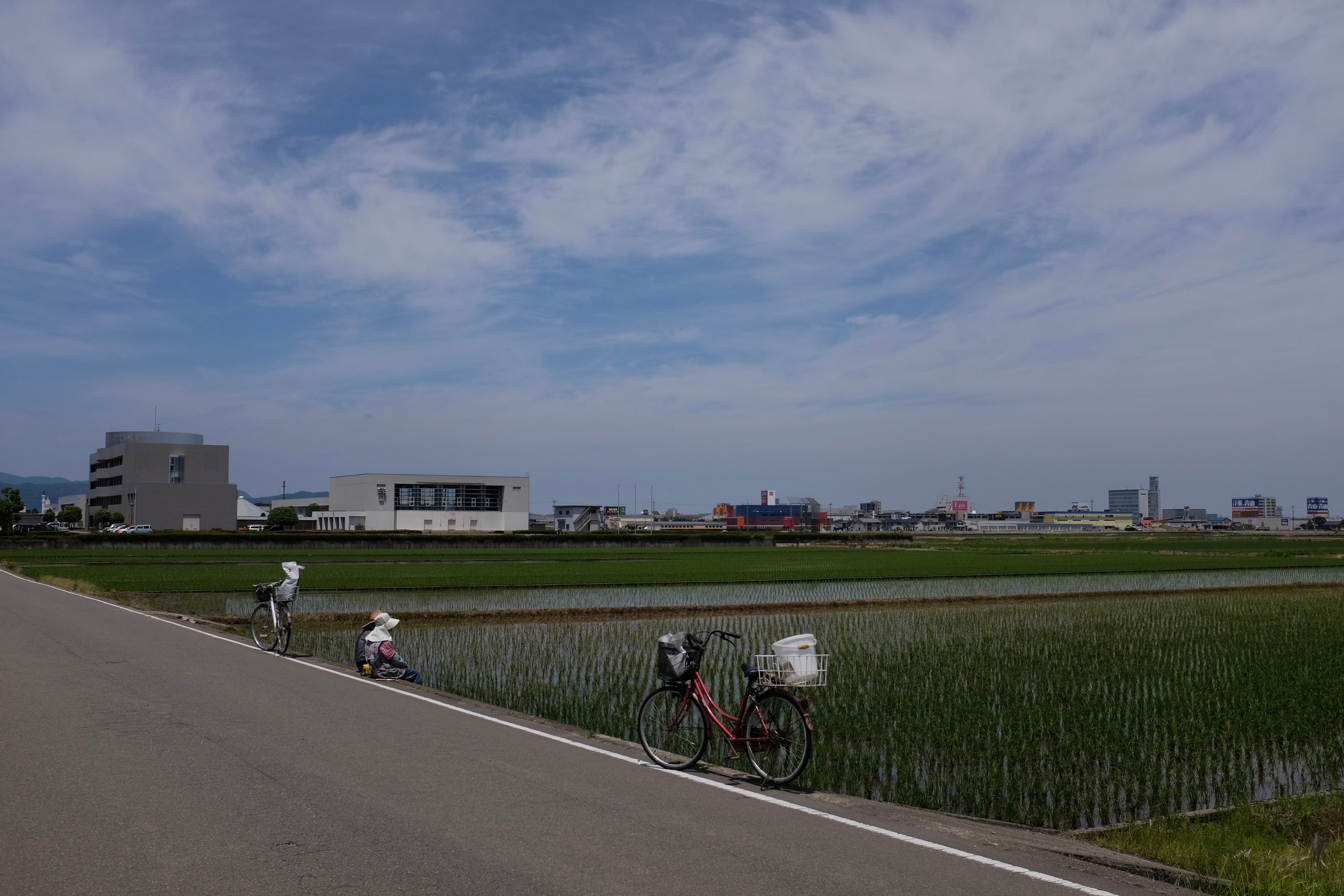 Two people sit on the side of the road by their bicycles, looking across rice fields.