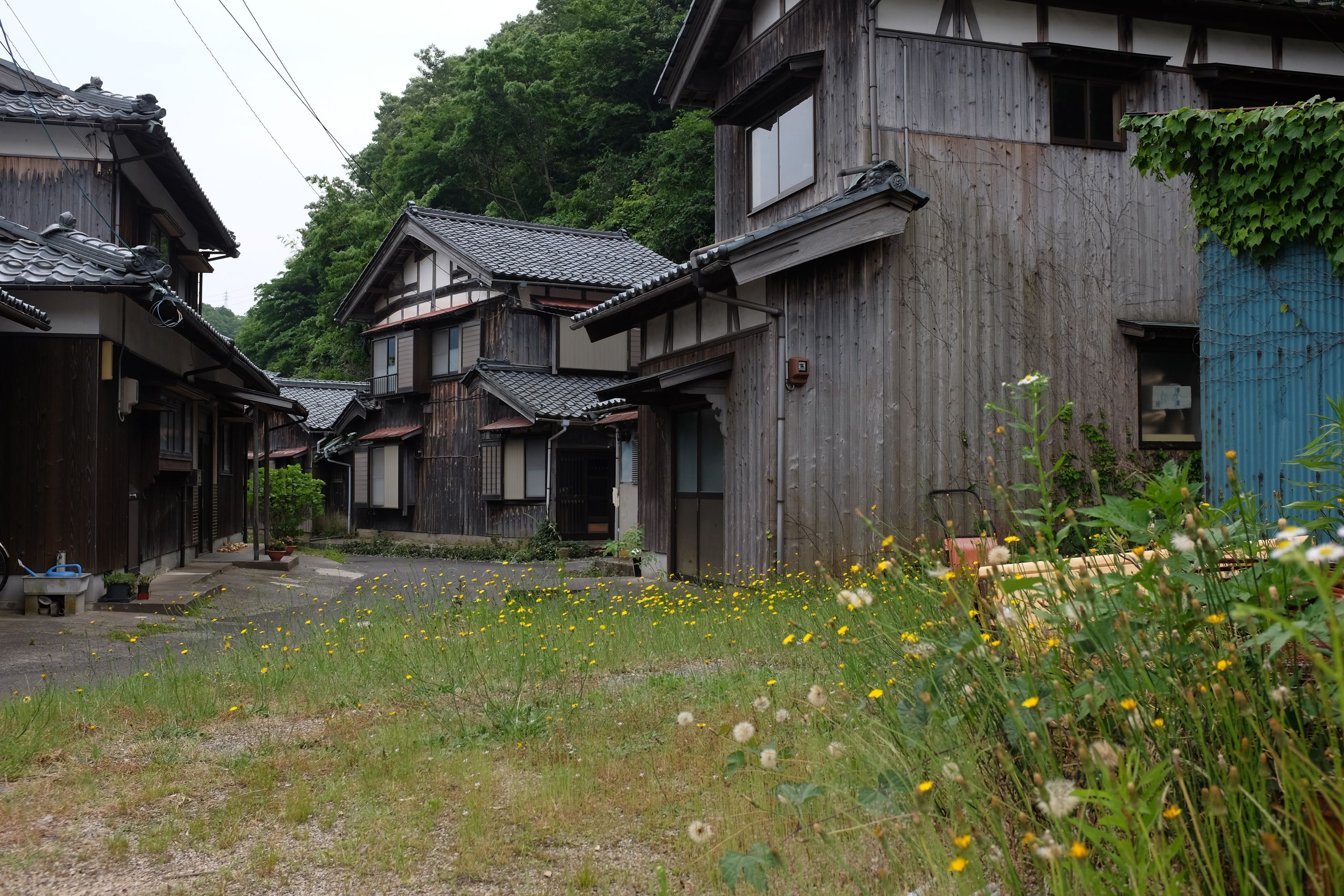 Old wooden houses clustered on a village street.