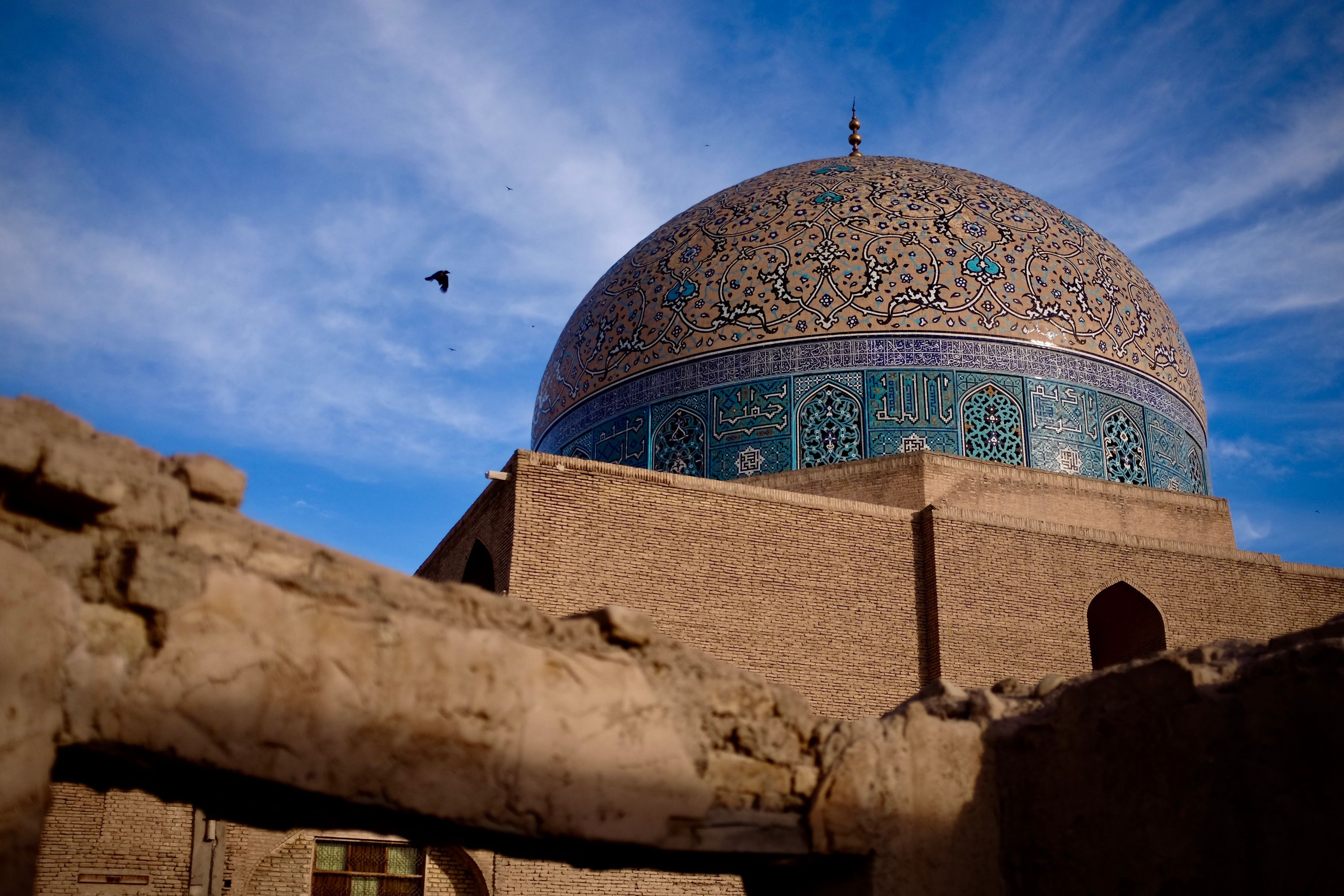 A crow flies past the brown and turquoise dome of one of the most beautiful buildings in the world.