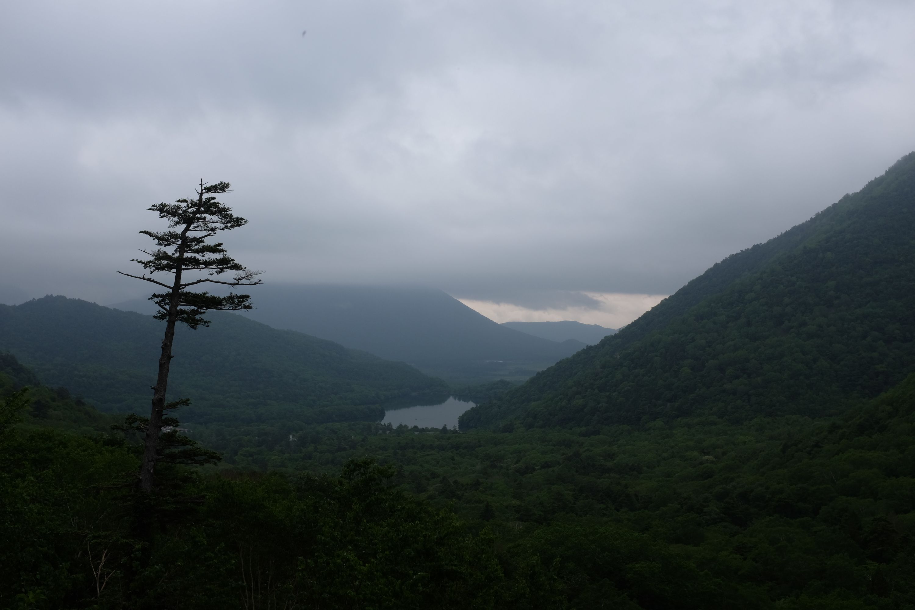 Panoramic view of a gloomy mountain landscape, with a lone pine against a dark grey sky.