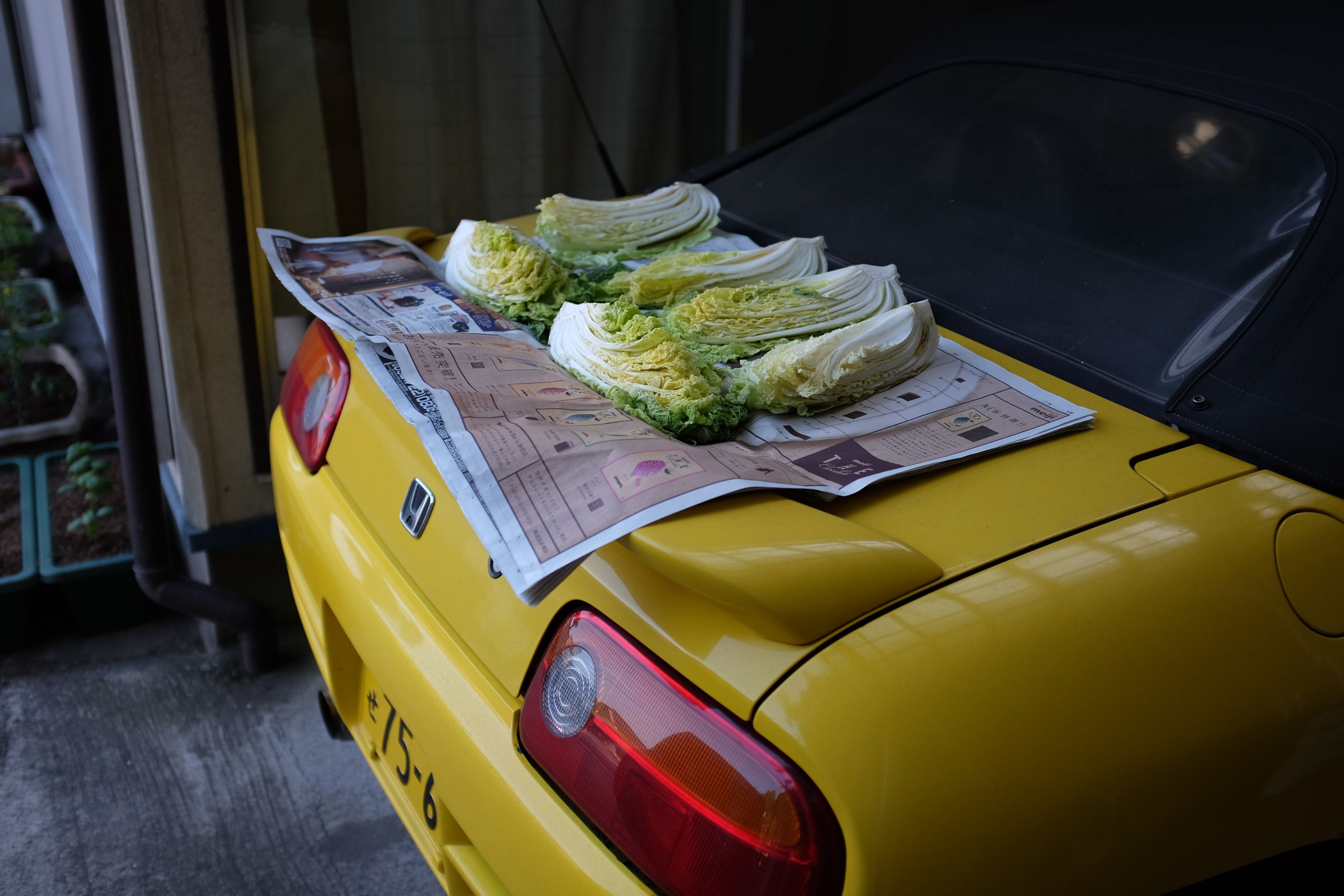 Some heads of cabbage drying on the rear engine cover of a tiny yellow sports car, a Honda Beat.