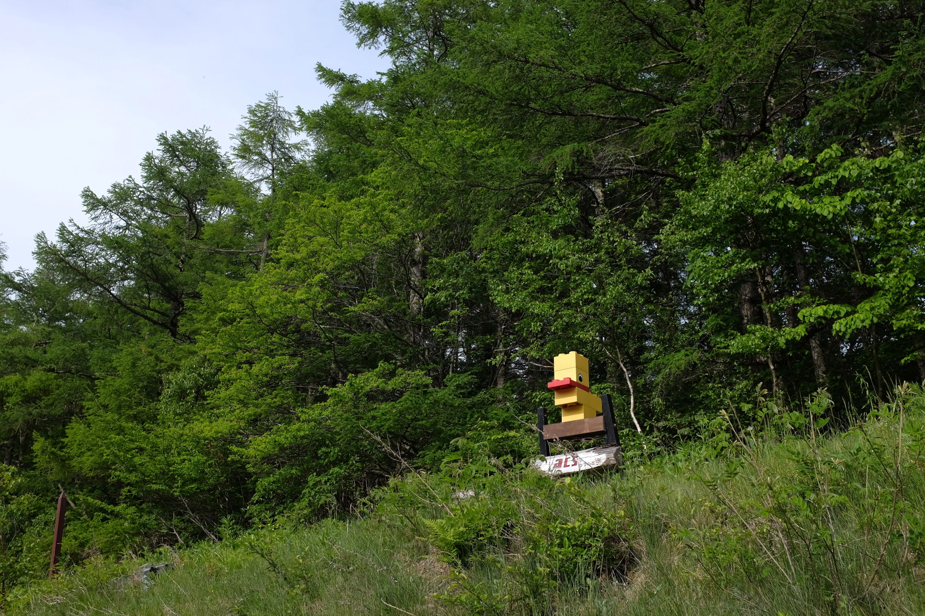 A large yellow Lego duck stands in the forest.